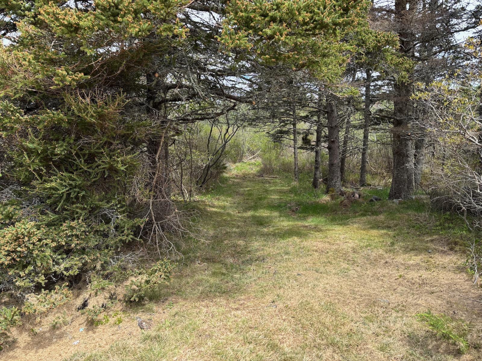 $129,500.00: Lot Melbourne Road, Melbourne