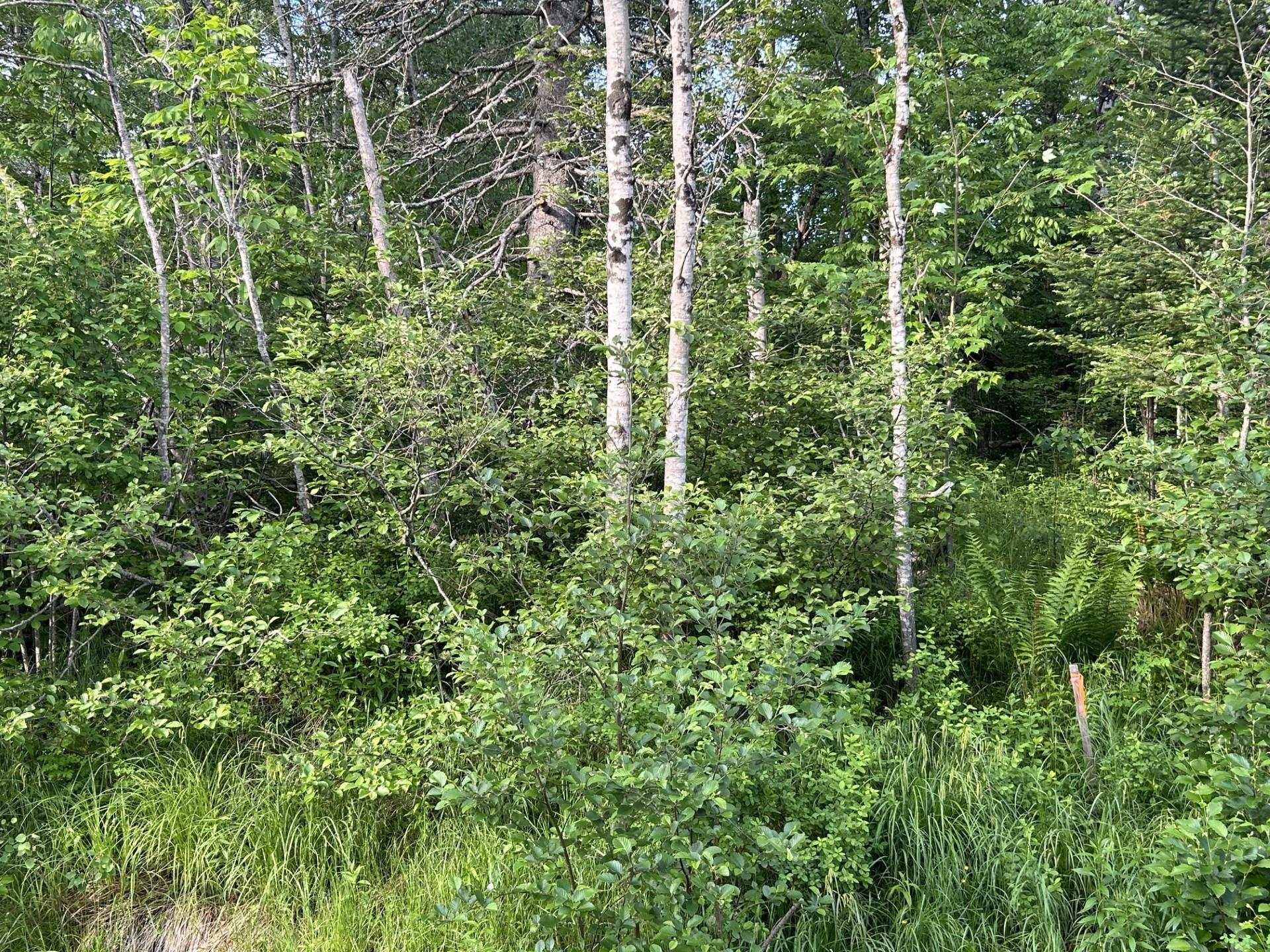 $72,900.00: Lot K1 Greenfield Road, Greenfield