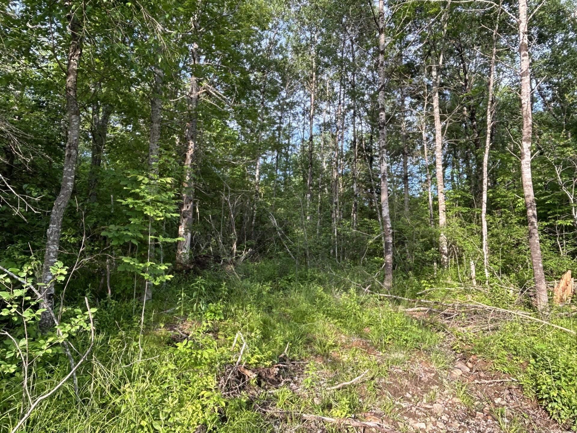 $72,900.00: Lot K1 Greenfield Road, Greenfield