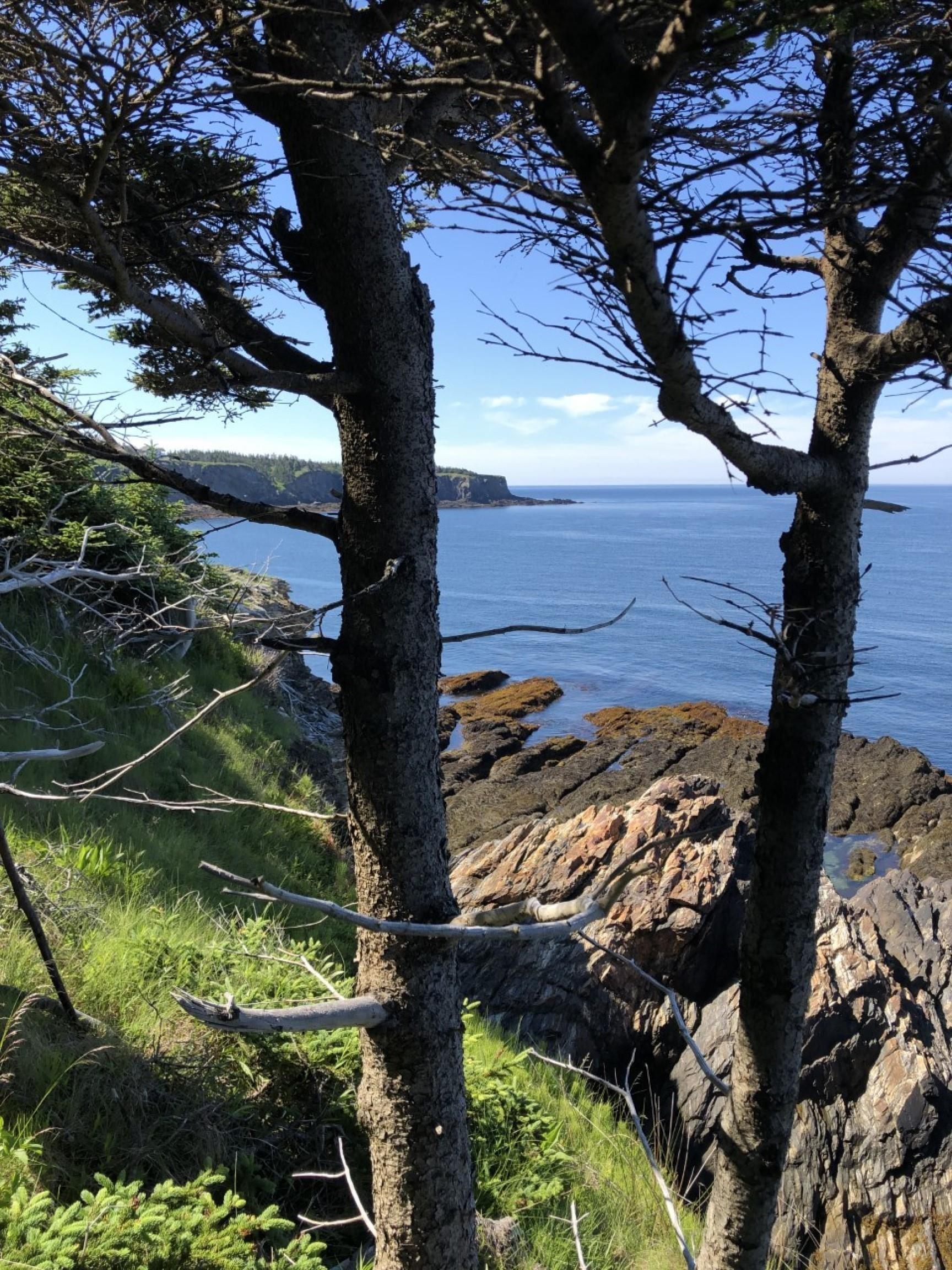 $1,819,391.00: Lot 7A Pepperrell Road, Cape St Marys