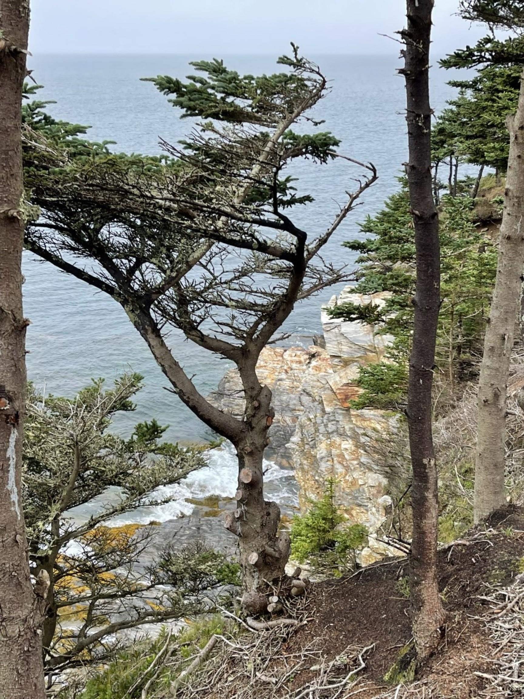 $1,819,391.00: Lot 7A Pepperrell Road, Cape St Marys