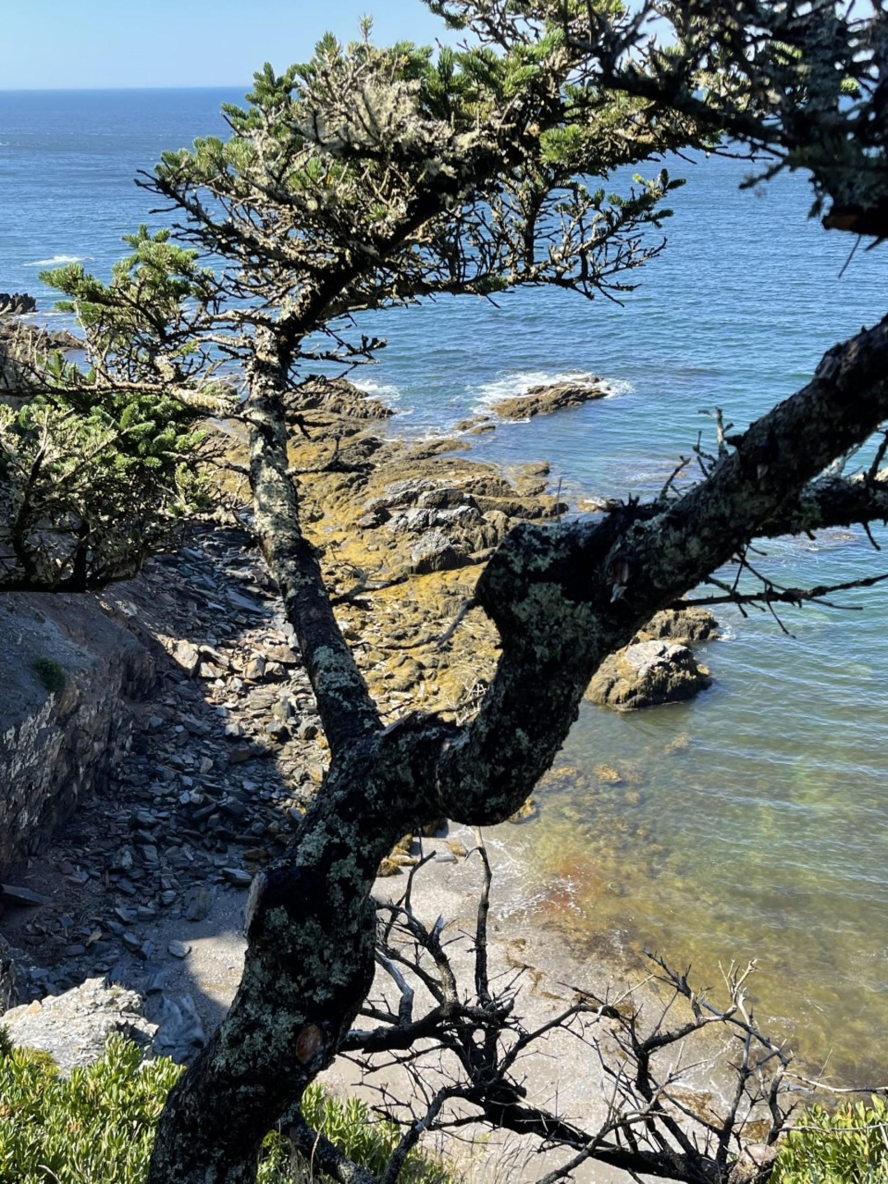 $1,819,391.00: Lot 7A Pepperrell Road, Cape St Marys