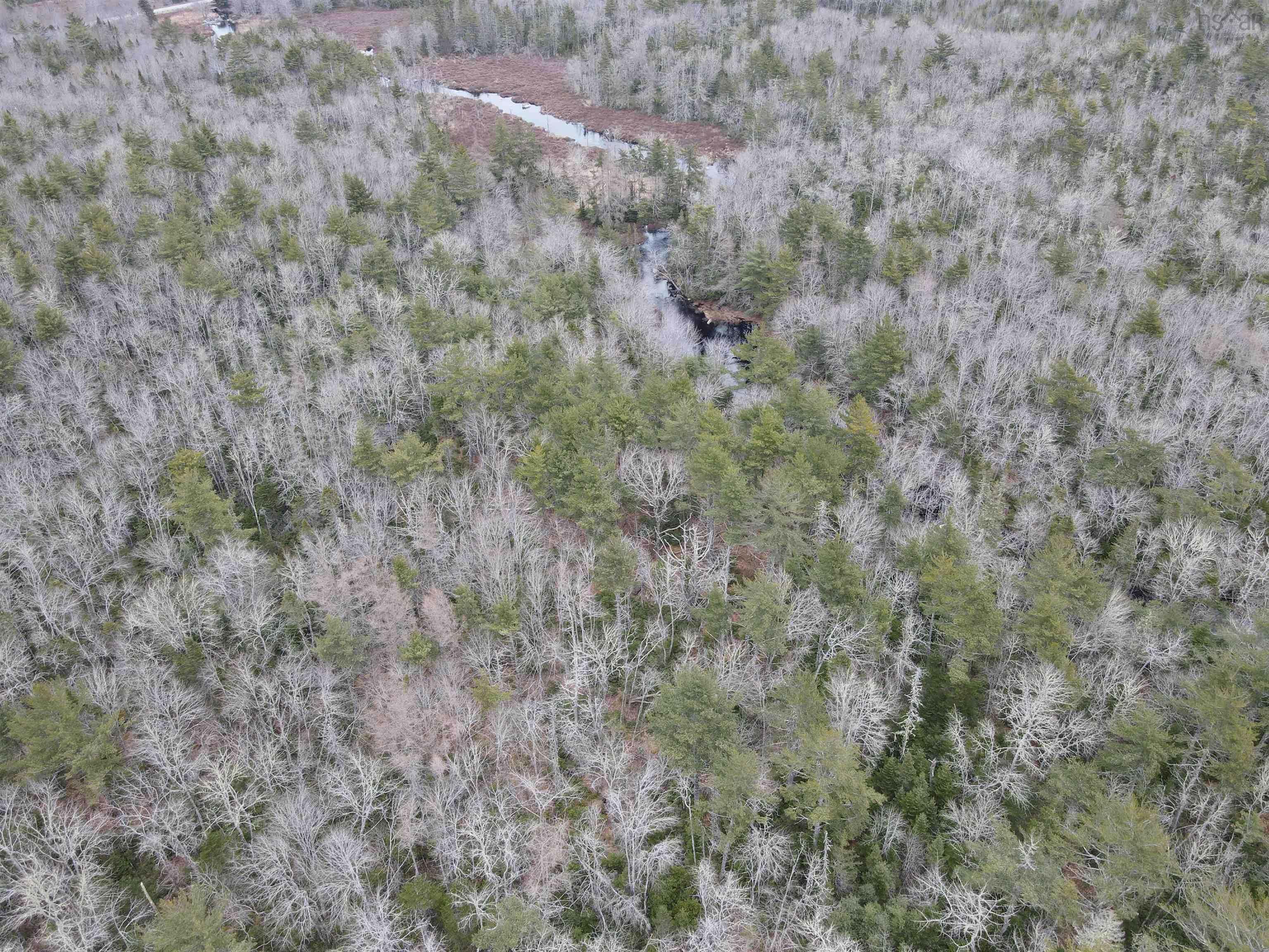 $49,999.00: Lot 100 Wrights Road, Shelburne