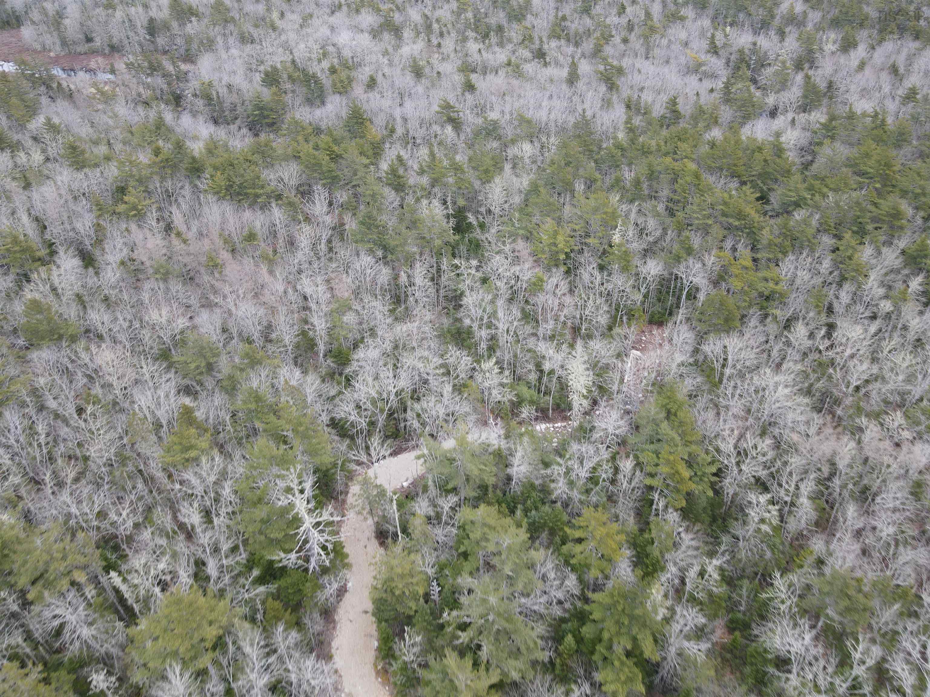 $49,999.00: Lot 100 Wrights Road, Shelburne
