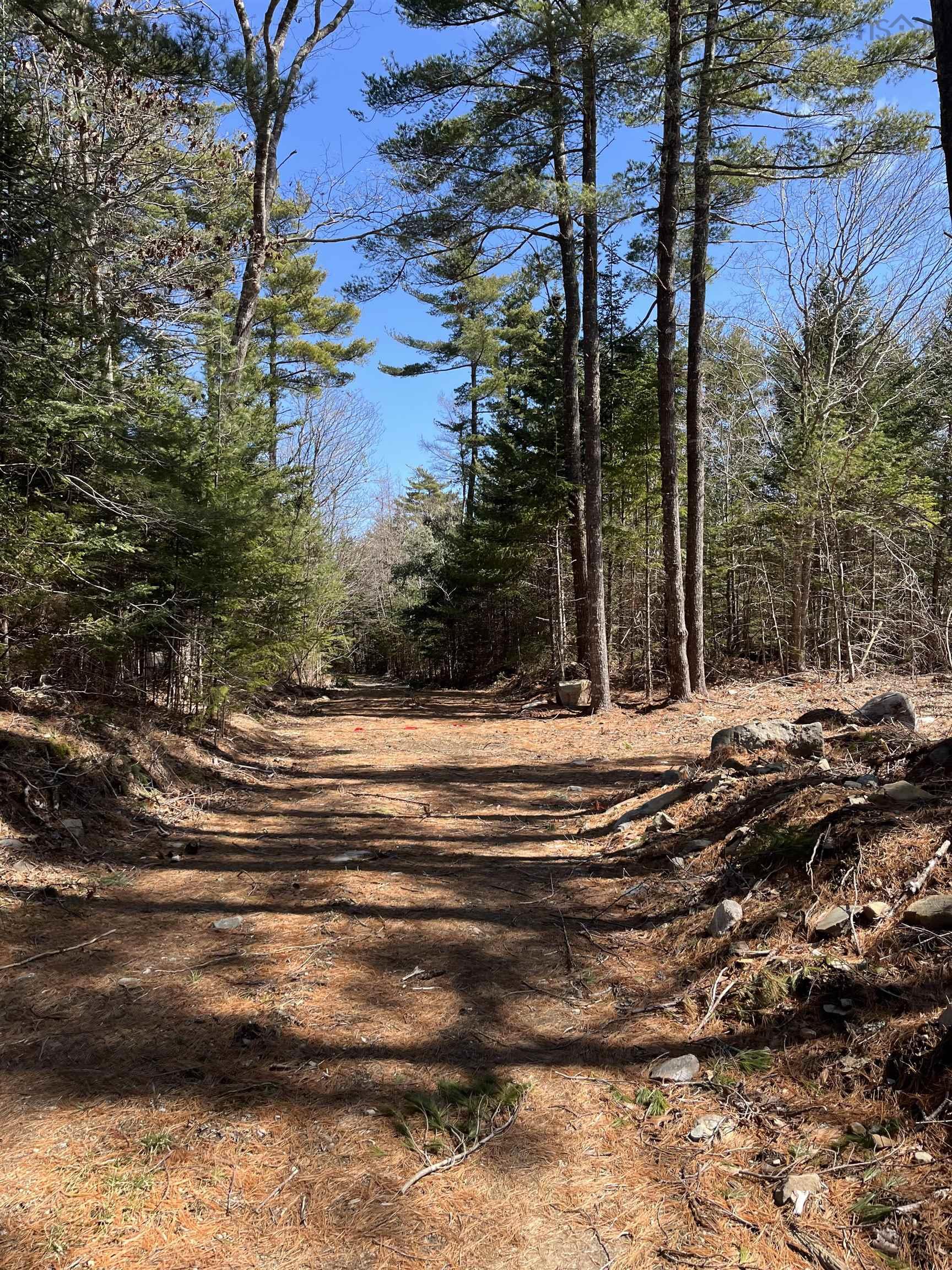 $49,999.00: Lot 100 Wrights Road, Shelburne