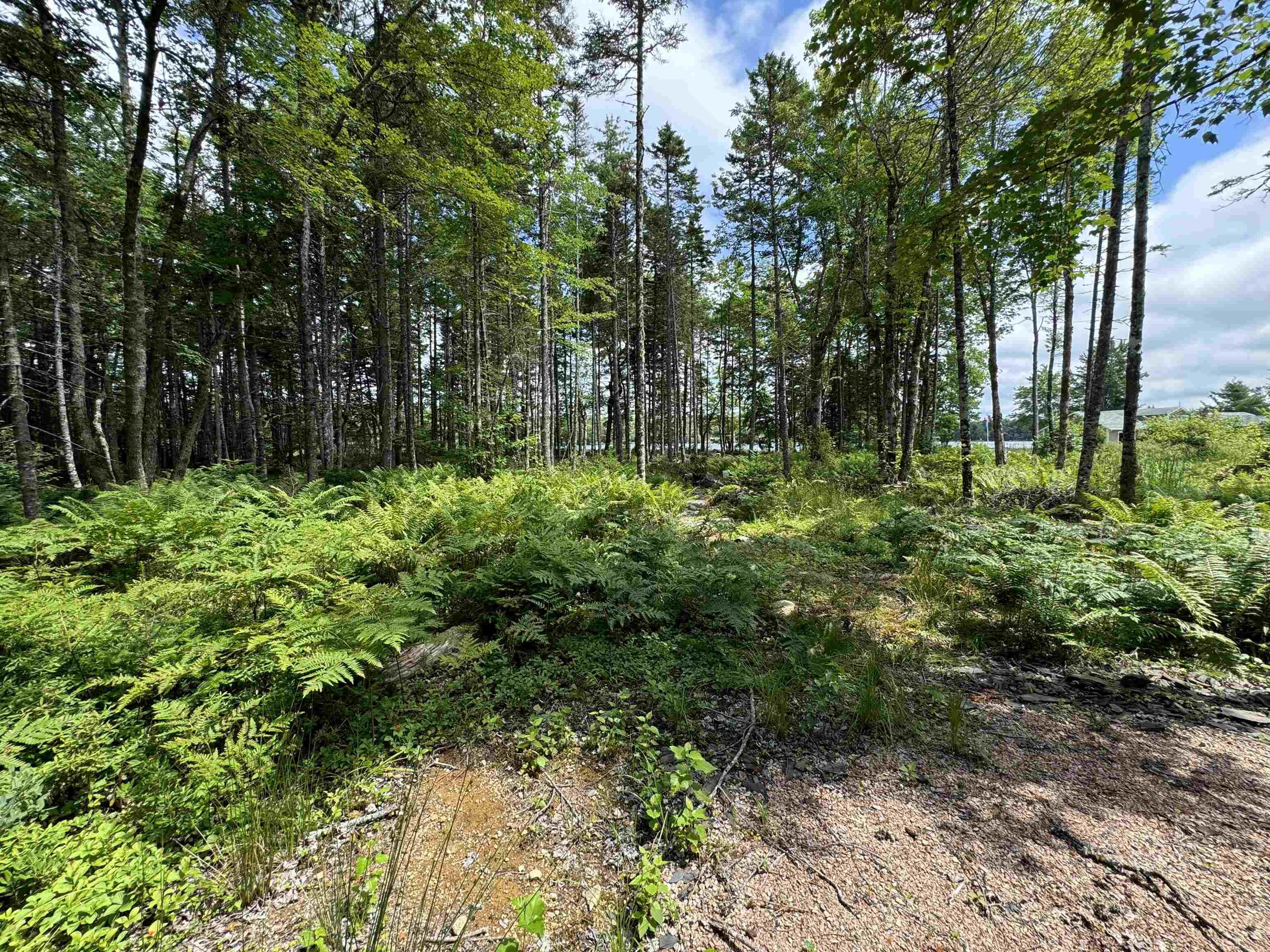 $209,000.00: 7 Lot Package East Lake Road, New Albany