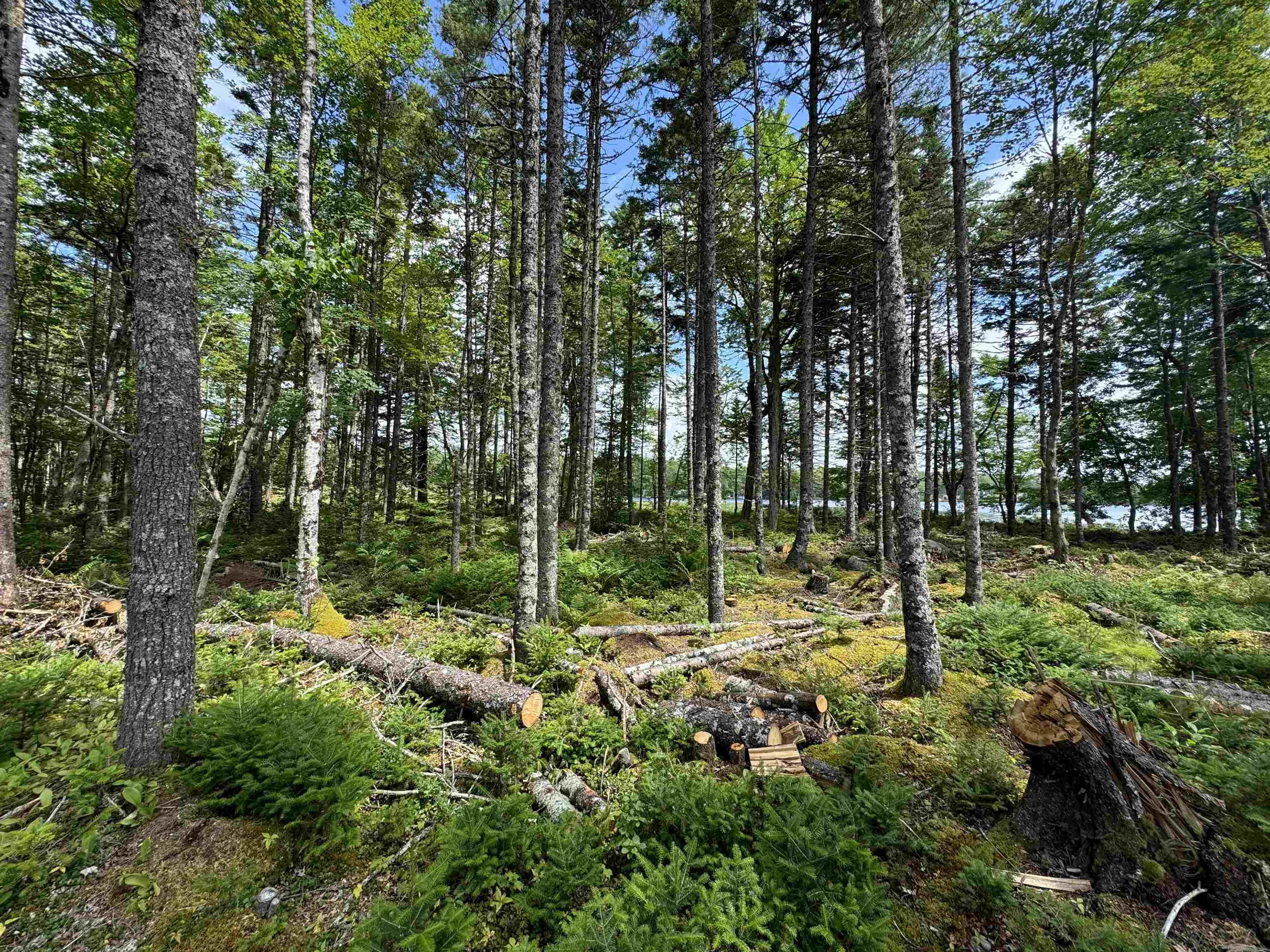 $209,000.00: 7 Lot Package East Lake Road, New Albany