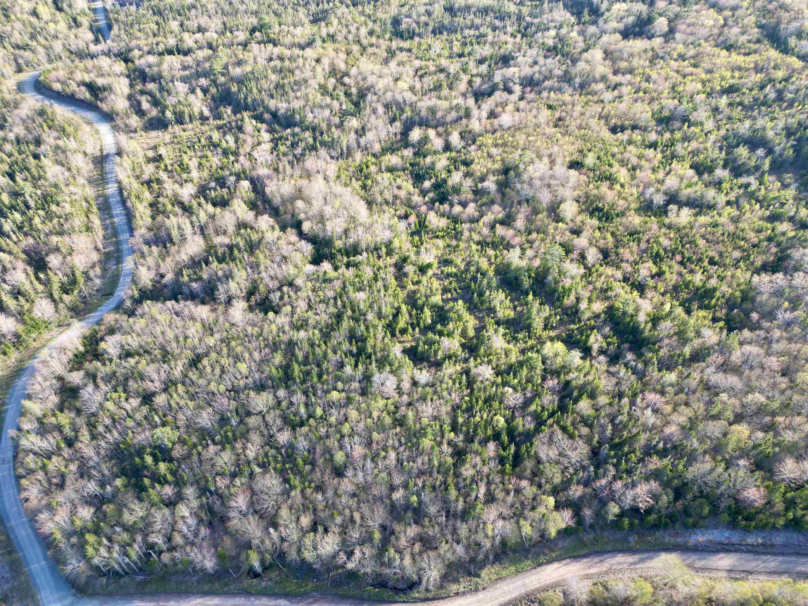$110,000.00: Acreage No. 4 Highway, Grande Anse