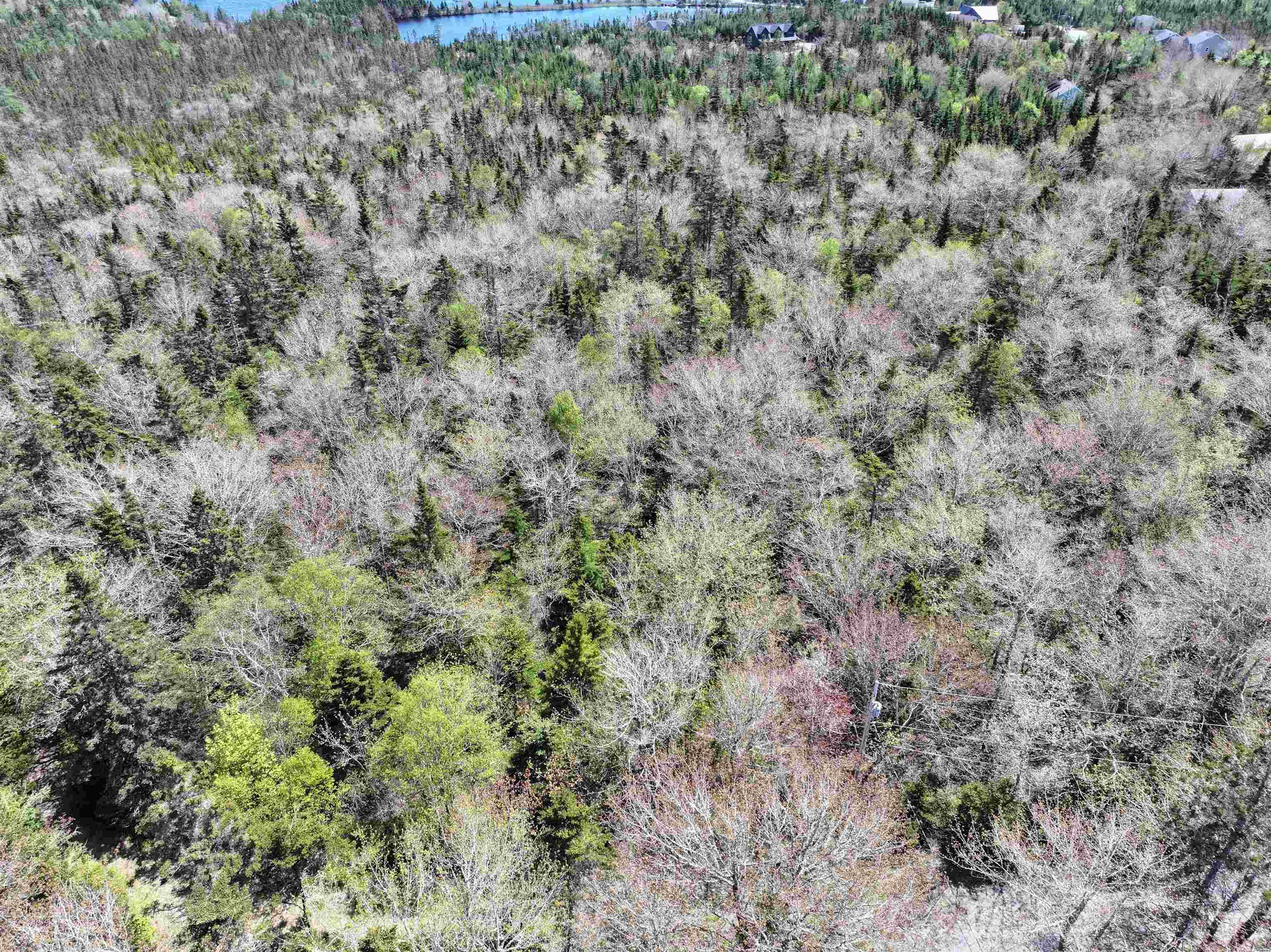 Lot 4 - 5 Maple Tree Lane, West Porters Lake, NS (MLS 202512525)