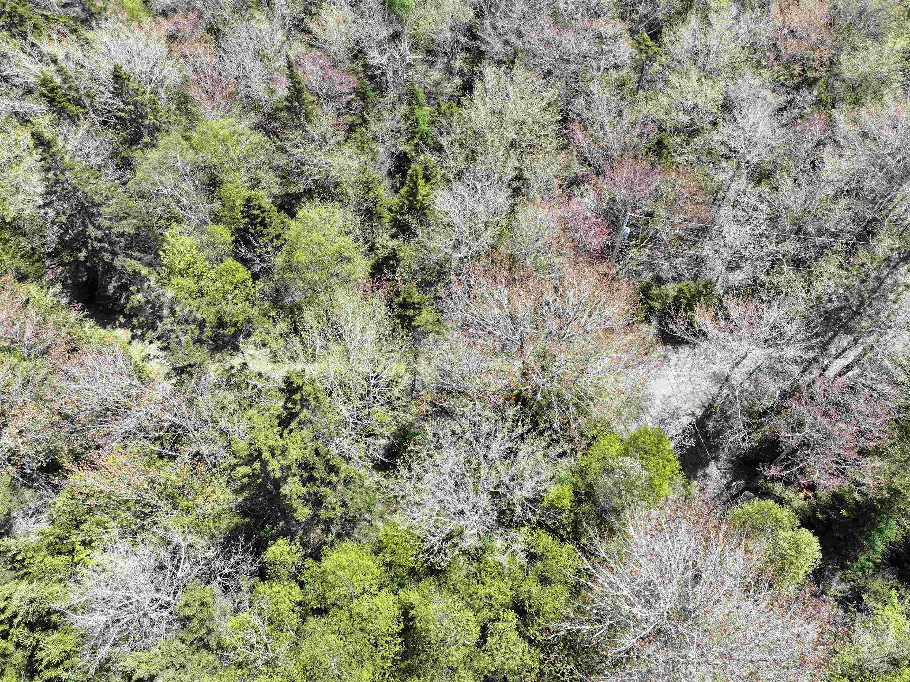 Lot 4 - 5 Maple Tree Lane, West Porters Lake, NS (MLS 202512525)