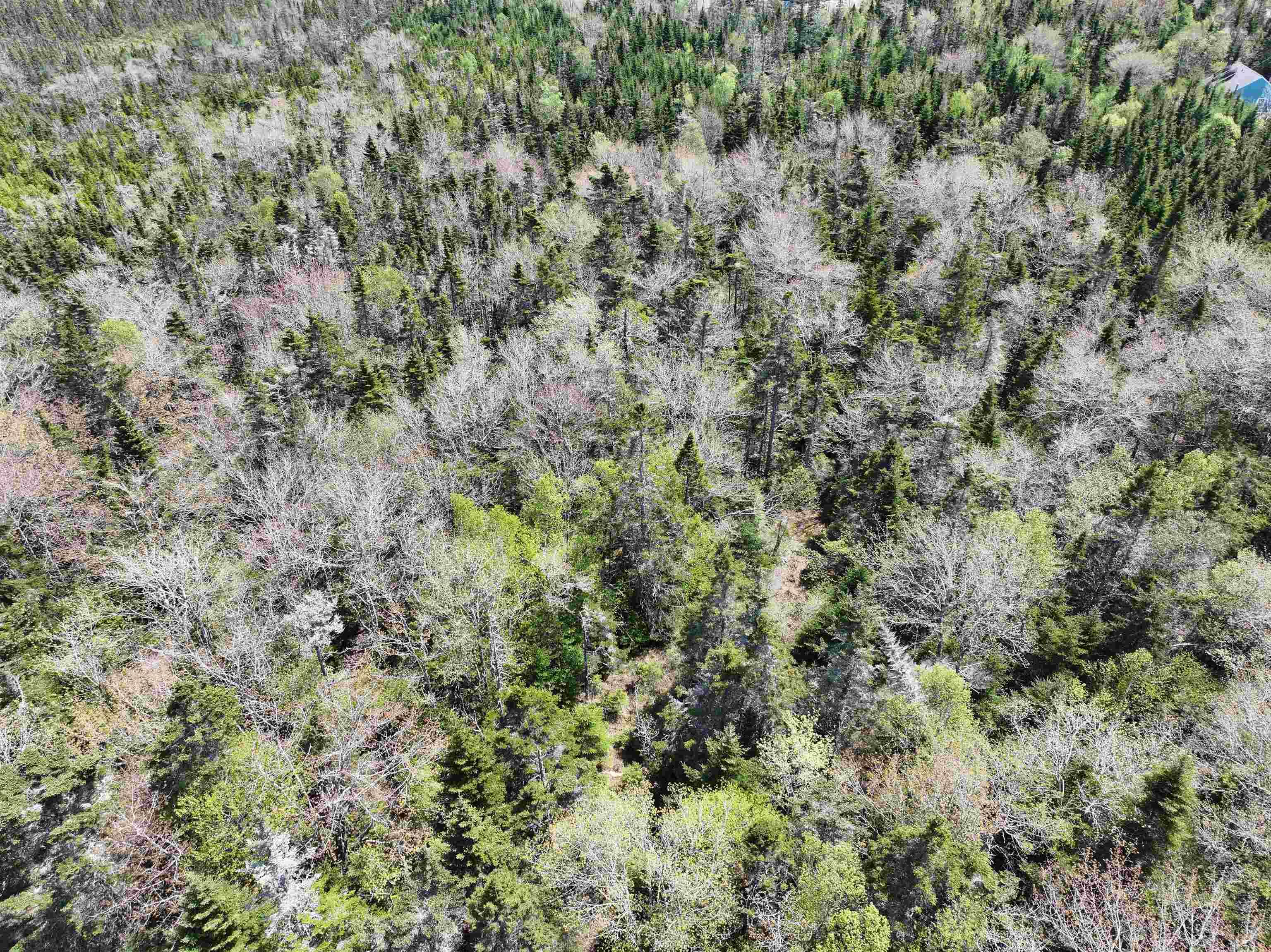 Lot 4 - 5 Maple Tree Lane, West Porters Lake, NS (MLS 202512525)