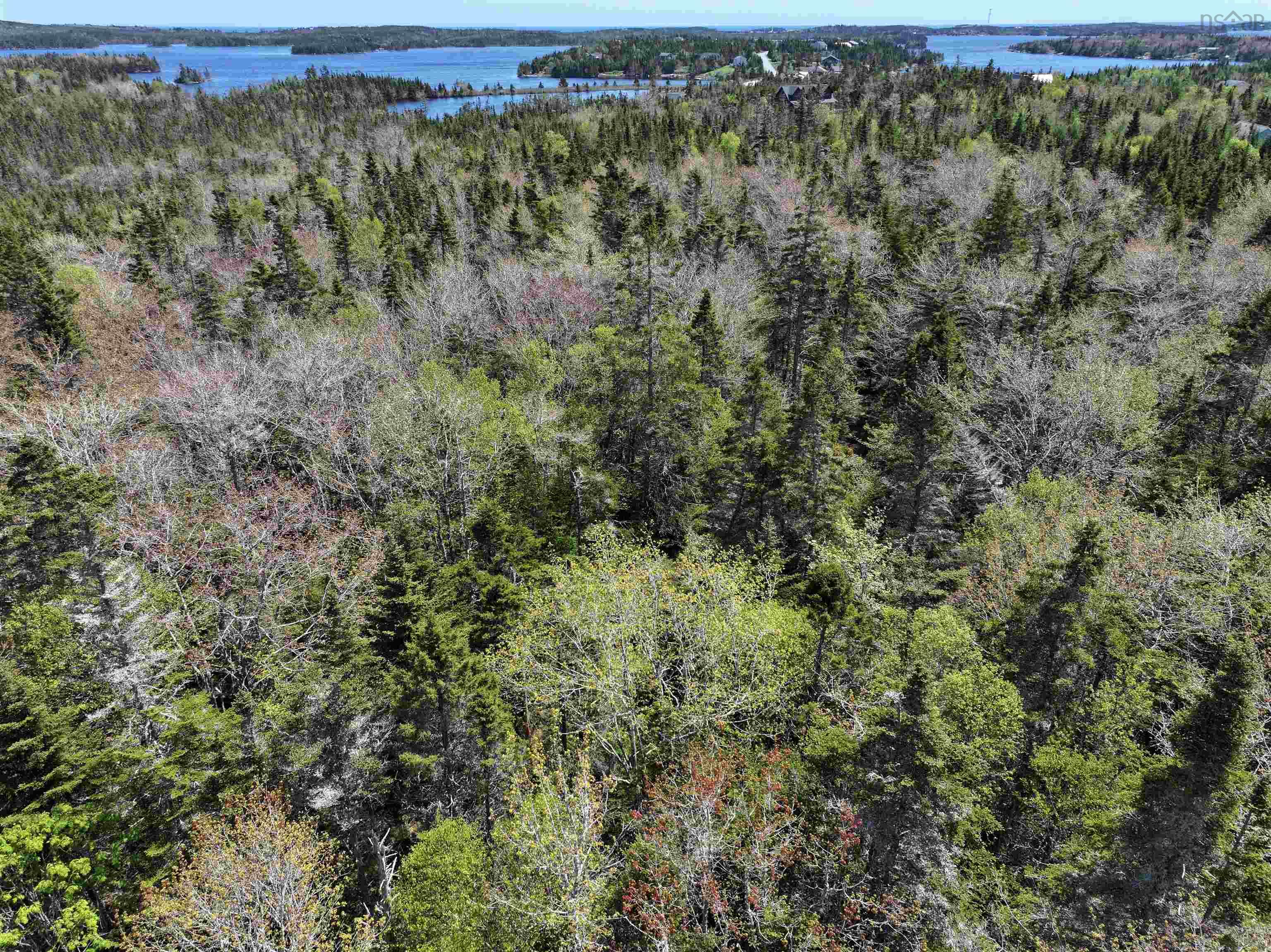 Lot 4 - 5 Maple Tree Lane, West Porters Lake, NS (MLS 202512525)