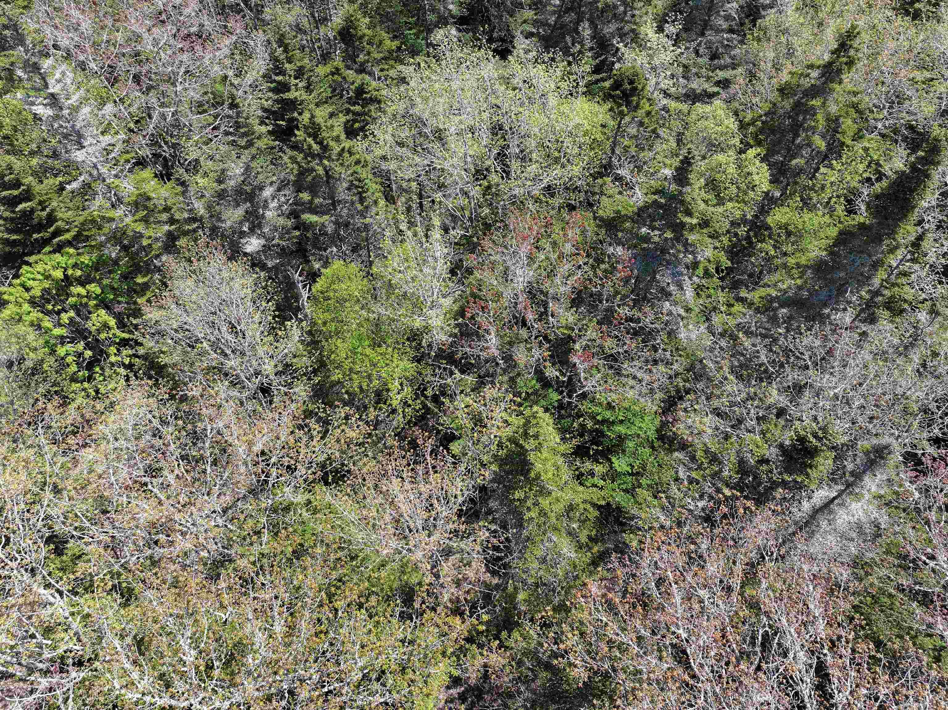 Lot 4 - 5 Maple Tree Lane, West Porters Lake, NS (MLS 202512525)