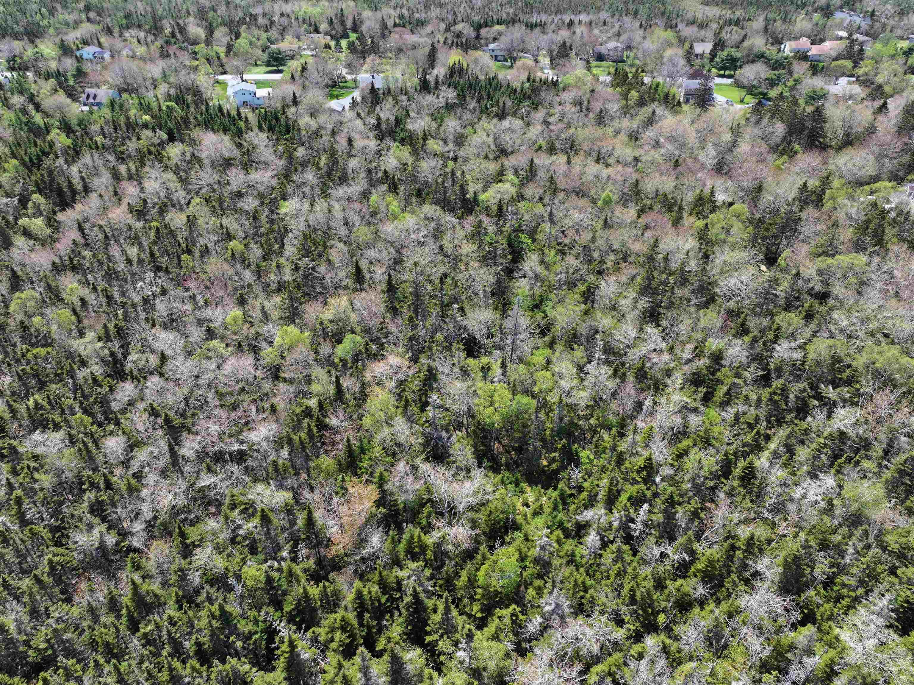 Lot 4 - 5 Maple Tree Lane, West Porters Lake, NS (MLS 202512525)