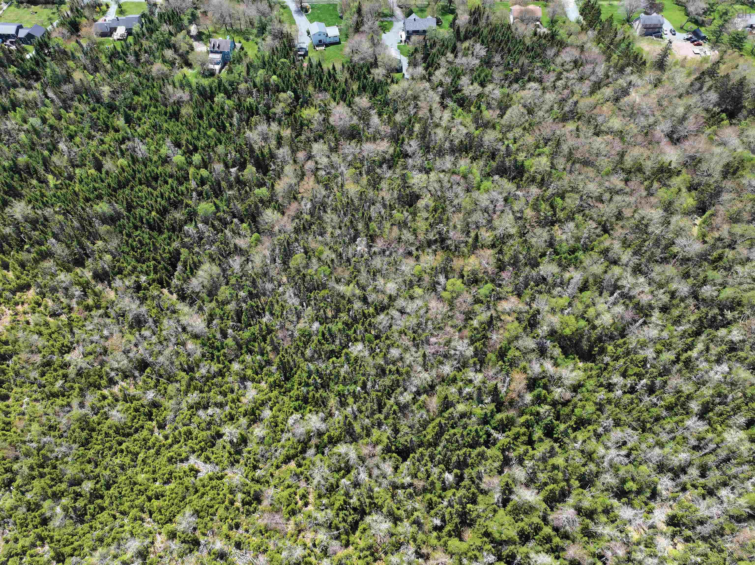 Lot 4 - 5 Maple Tree Lane, West Porters Lake, NS (MLS 202512525)