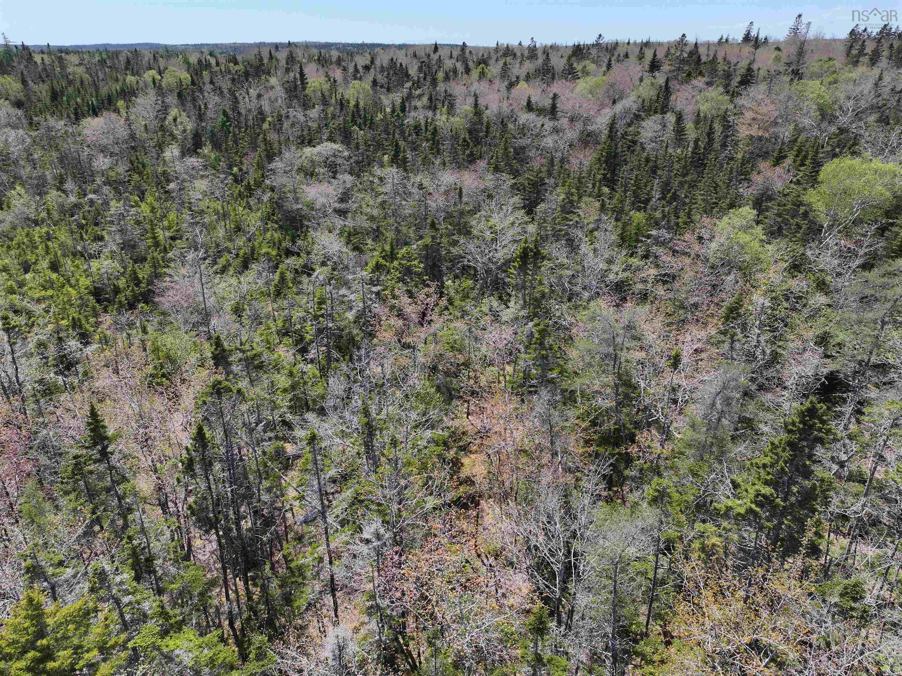 Lot 4 - 5 Maple Tree Lane, West Porters Lake, NS (MLS 202512525)