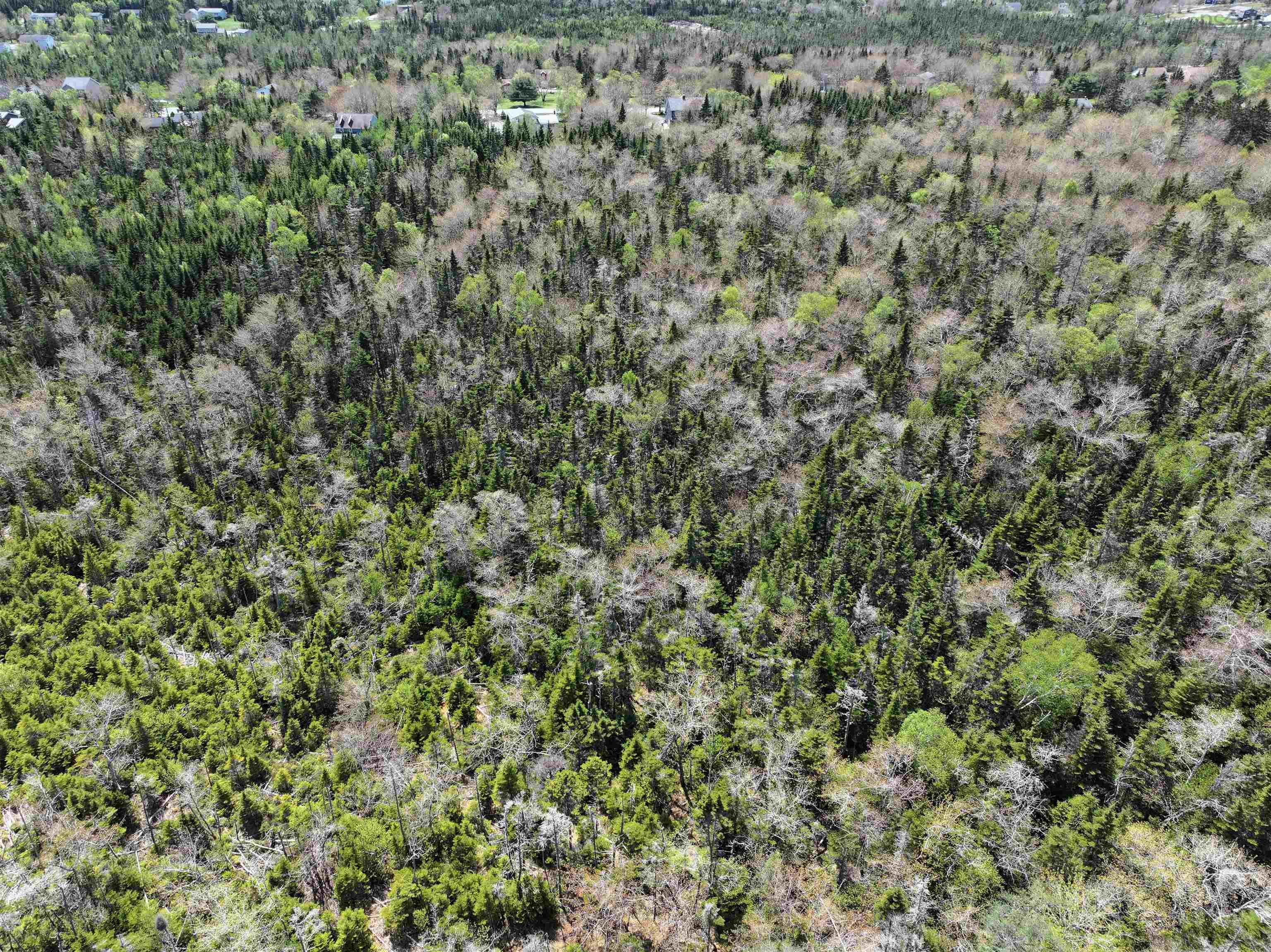 Lot 4 - 5 Maple Tree Lane, West Porters Lake, NS (MLS 202512525)