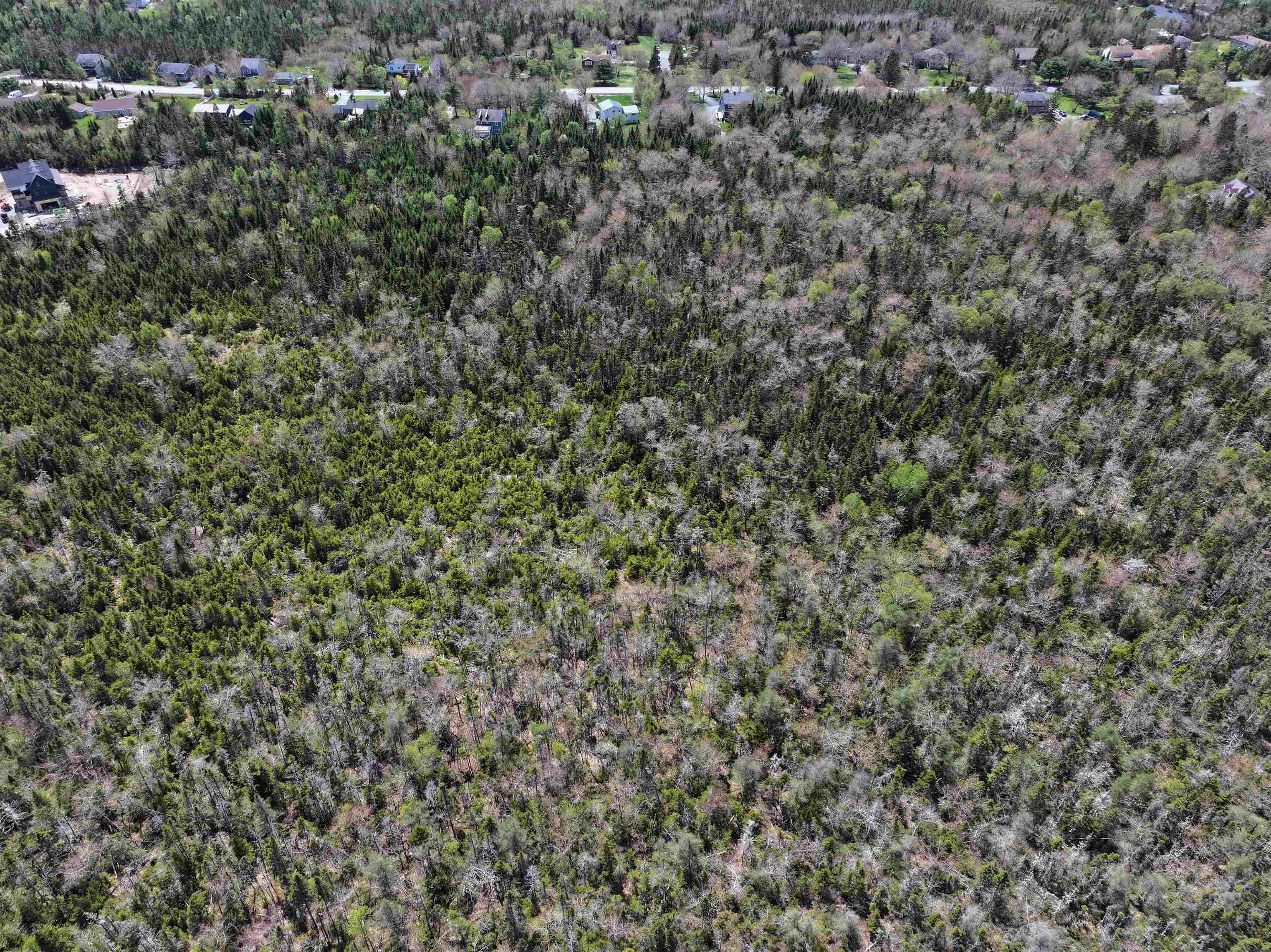 Lot 4 - 5 Maple Tree Lane, West Porters Lake, NS (MLS 202512525)