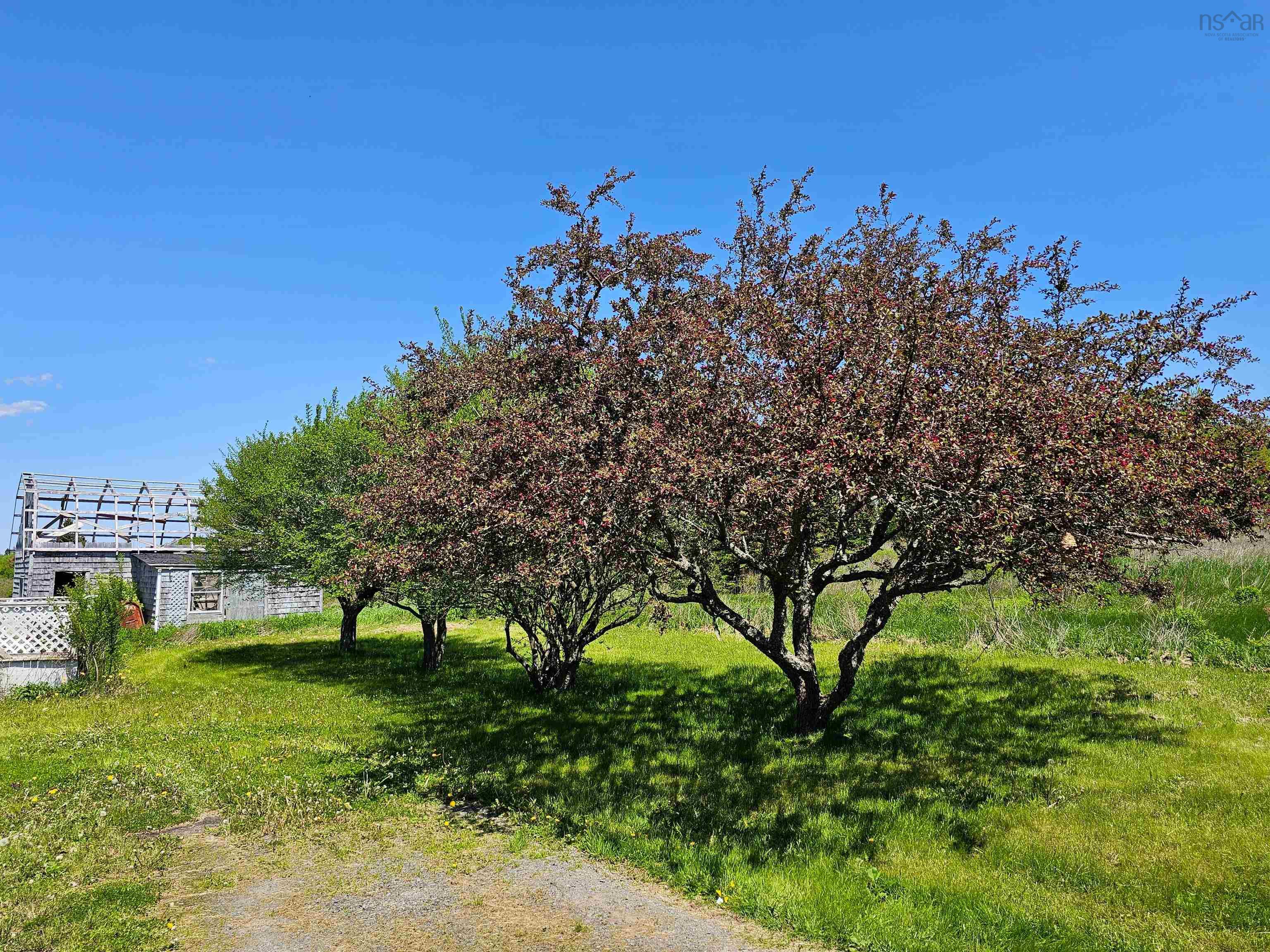 $239,900.00: 8041 Highway 215, Selma