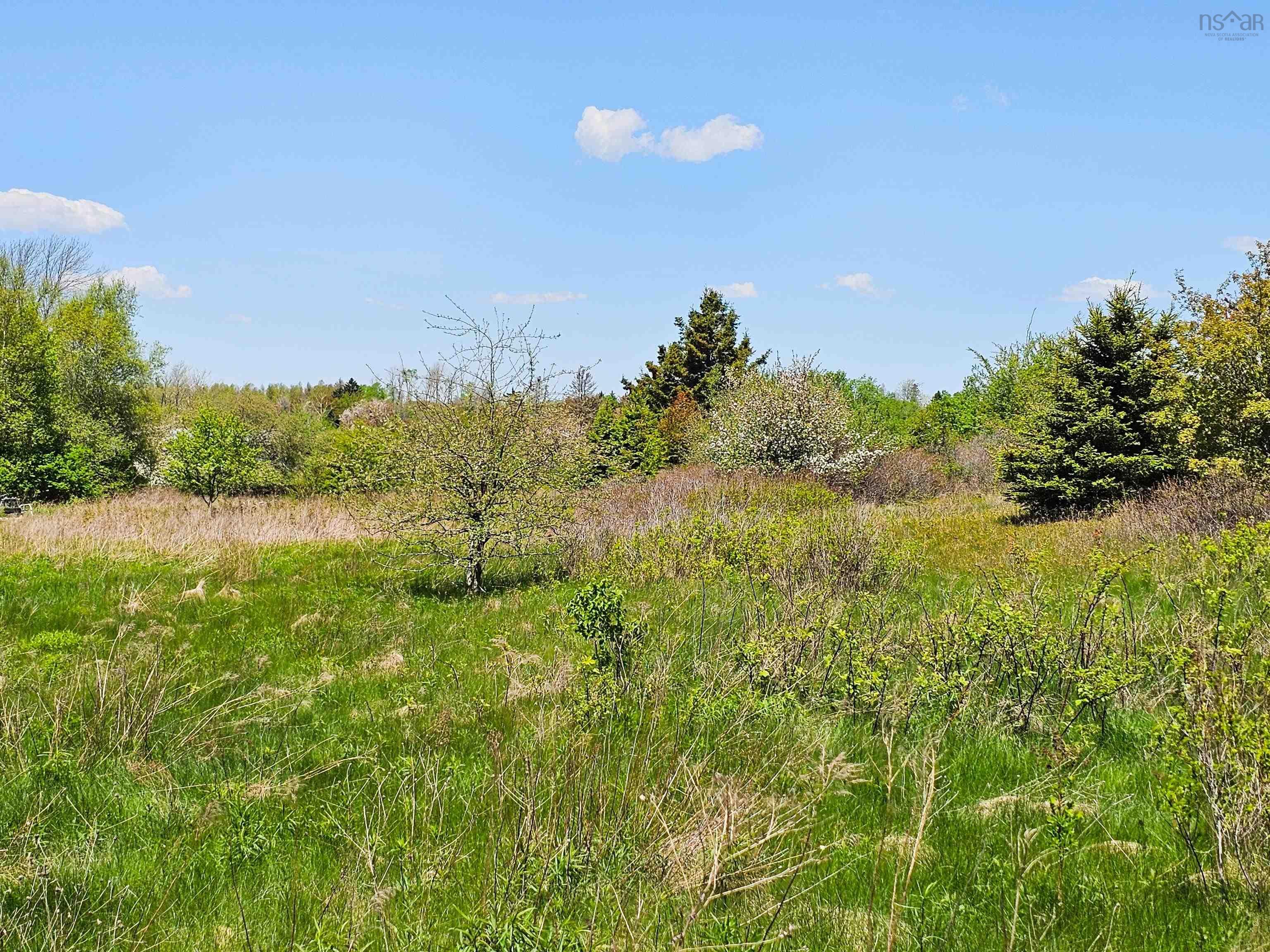 $239,900.00: 8041 Highway 215, Selma