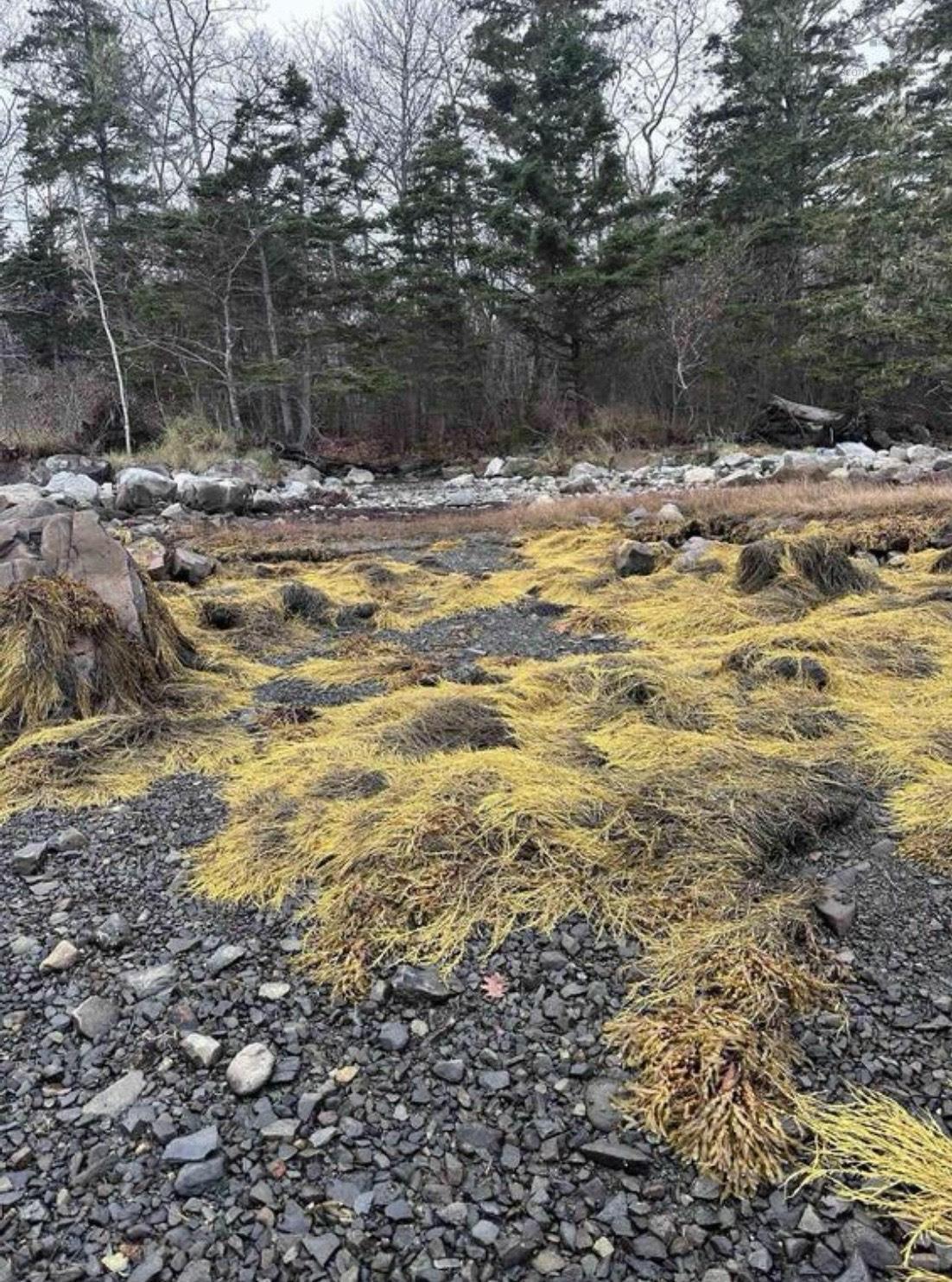 $114,000.00: Vacant Lot West Green Harbour Road, Shelburne