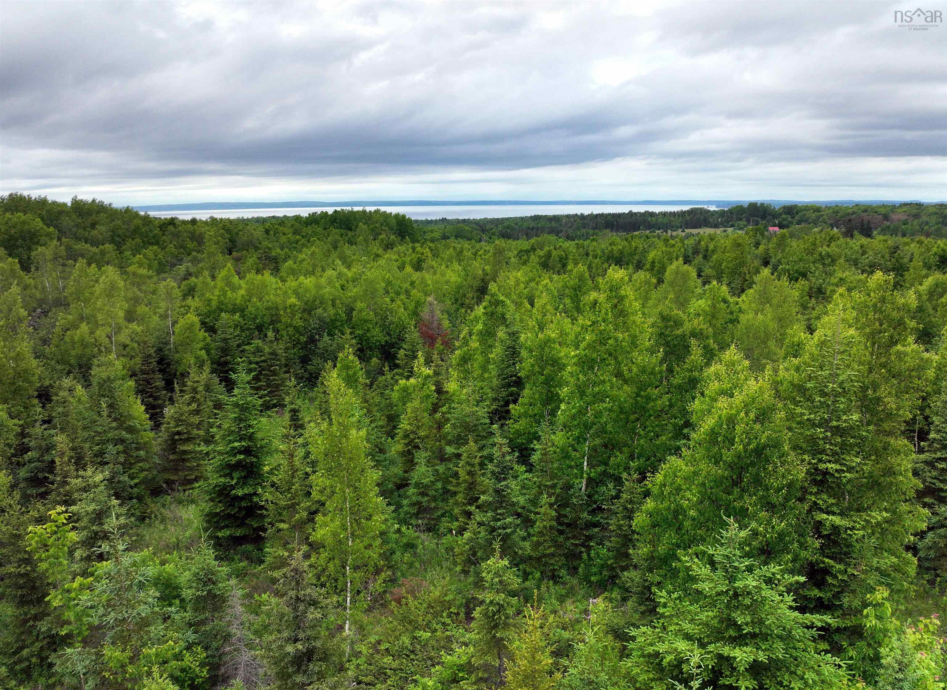 Lot 4 Baxters Harbour Road, Baxters Harbour, NS (MLS® 202512735)