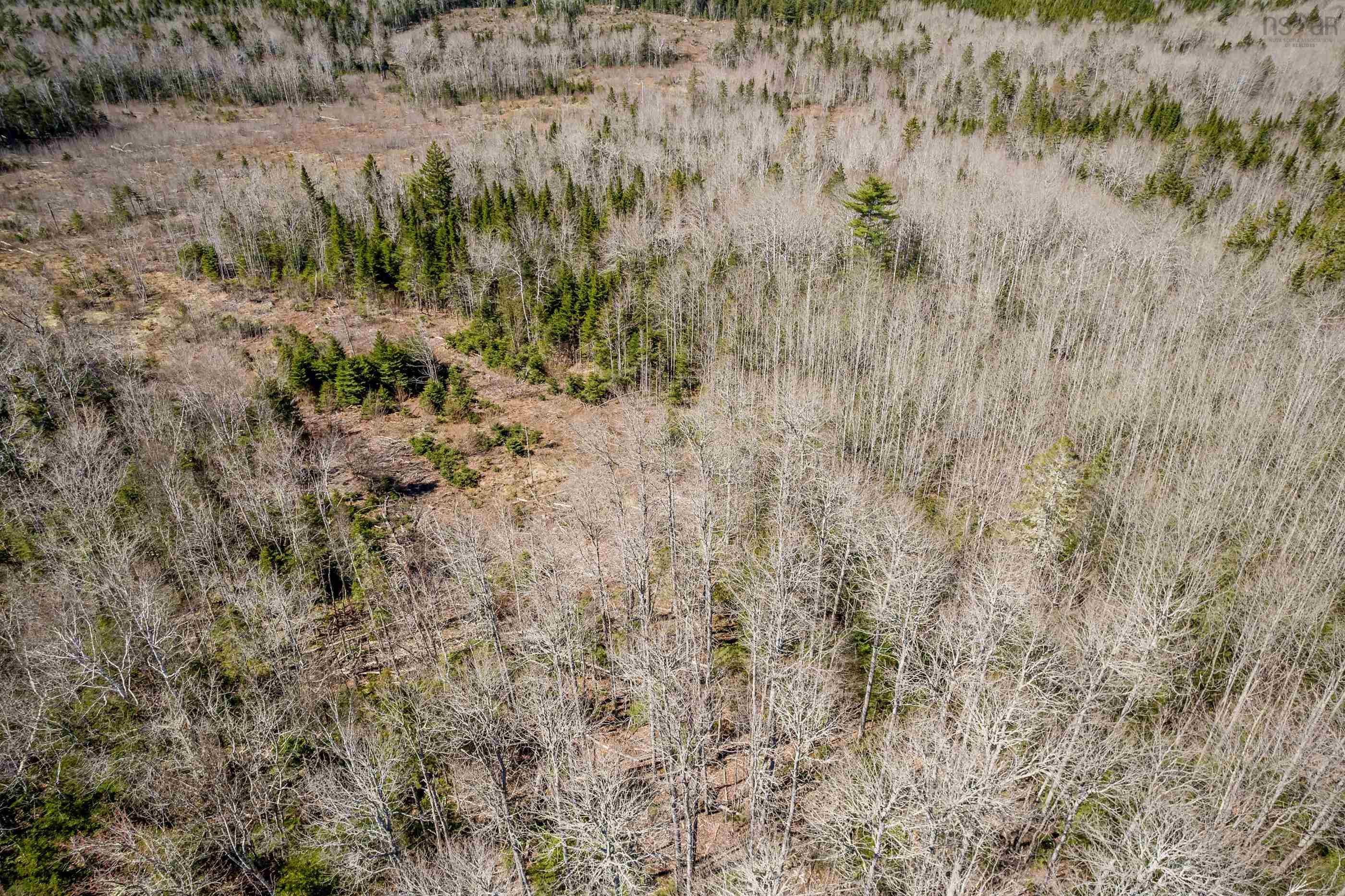 $124,900.00: Lot A Aylesford Road, Lake Paul