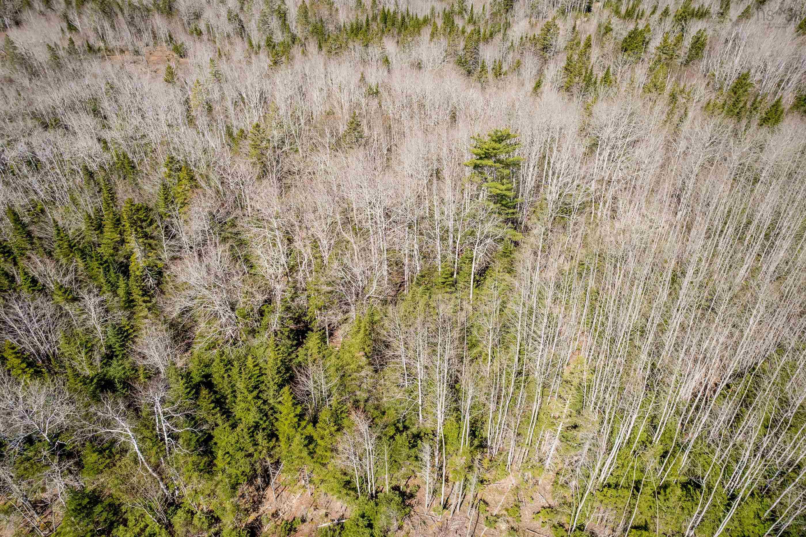 $124,900.00: Lot A Aylesford Road, Lake Paul