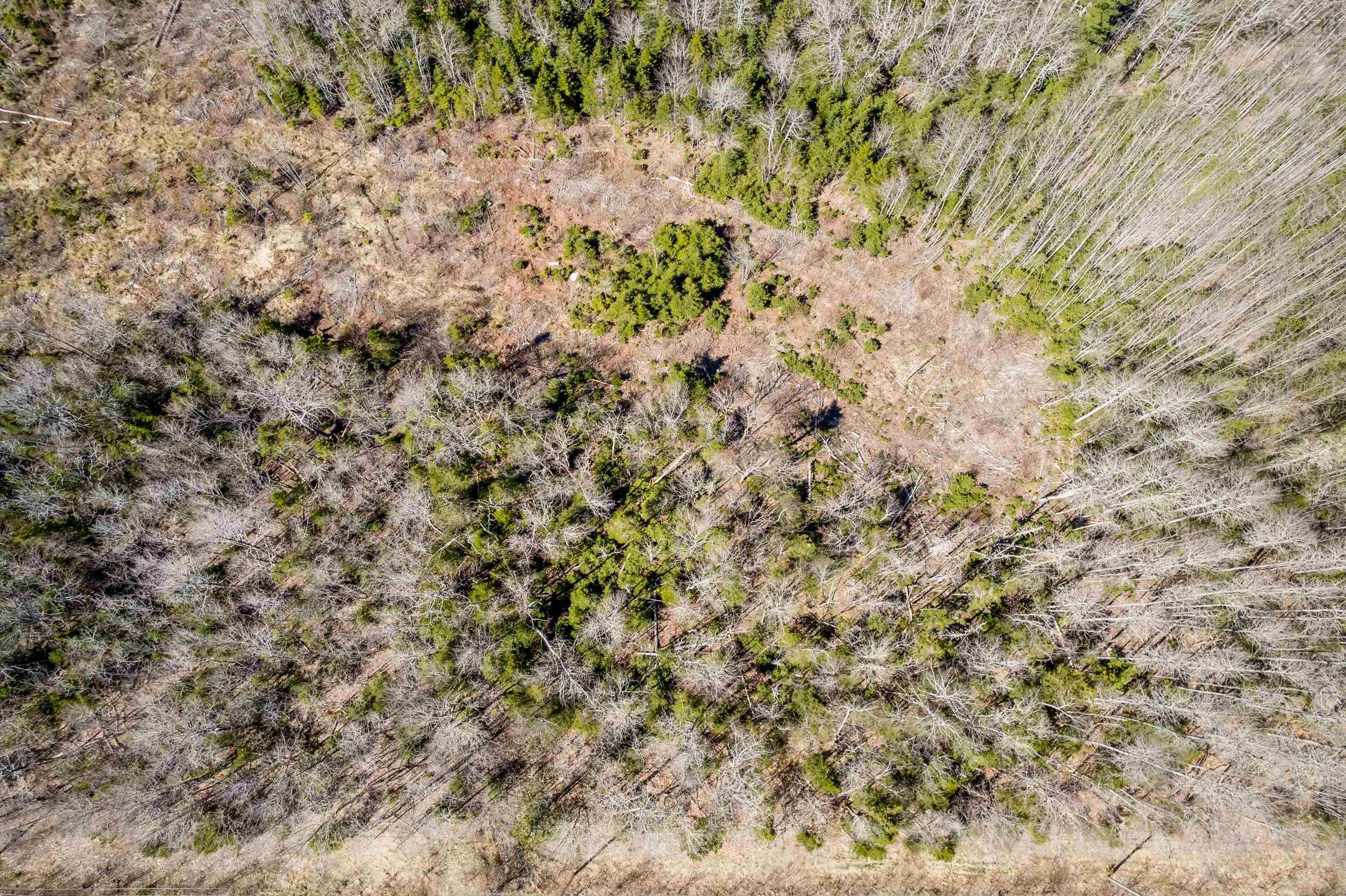 $124,900.00: Lot A Aylesford Road, Lake Paul