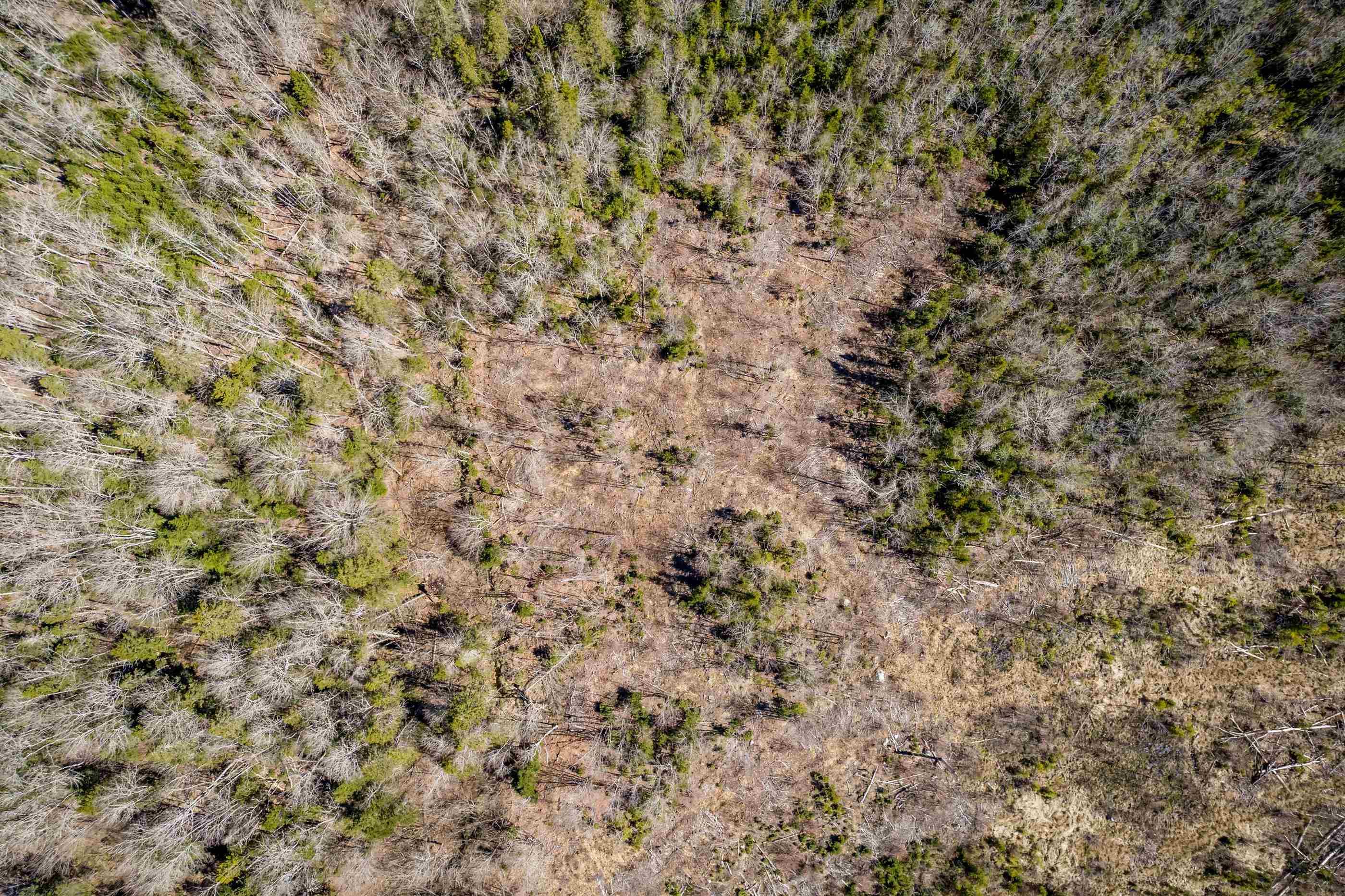 $124,900.00: Lot A Aylesford Road, Lake Paul