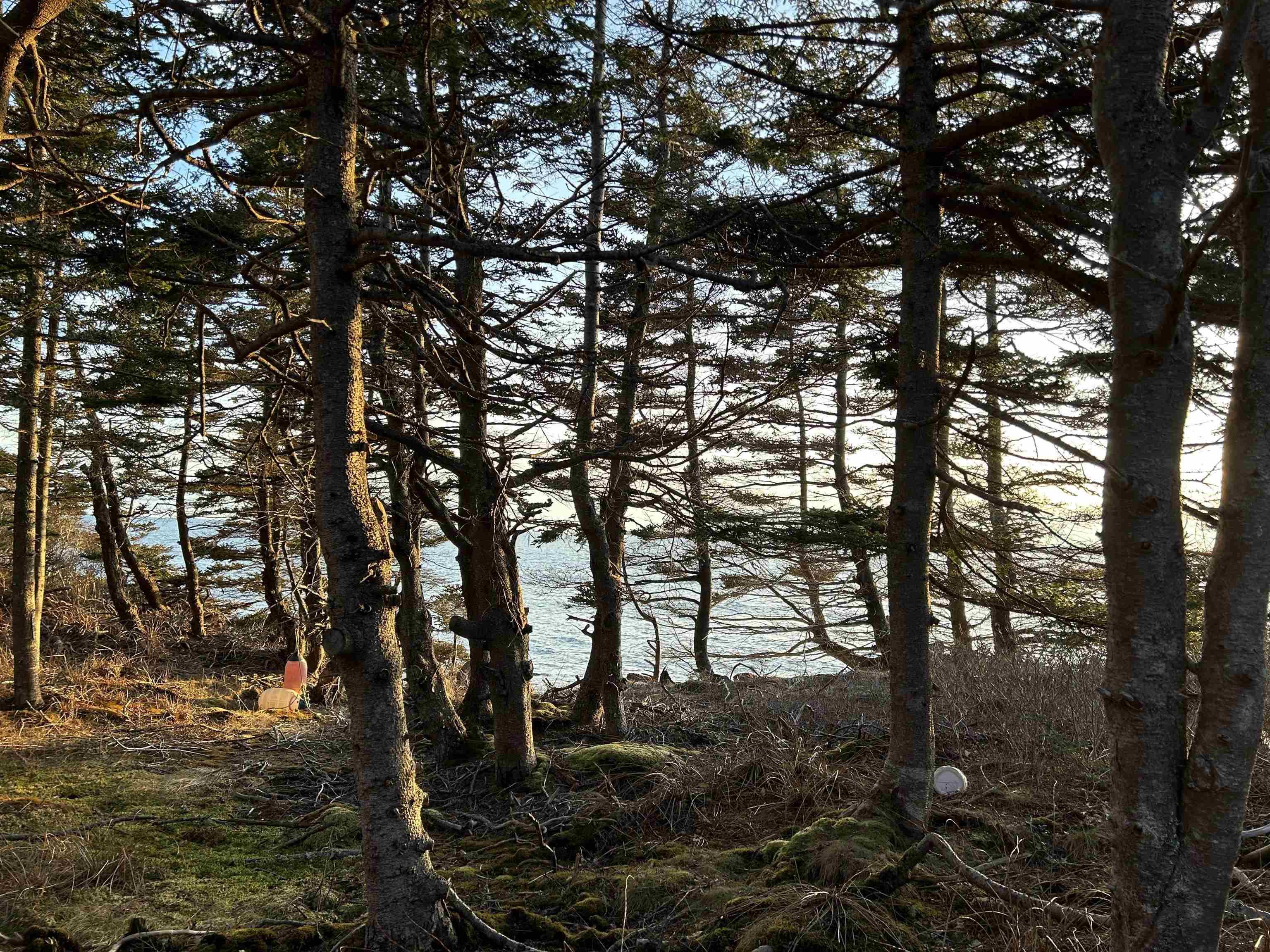 $145,000.00: Villagedale Road, Villagedale