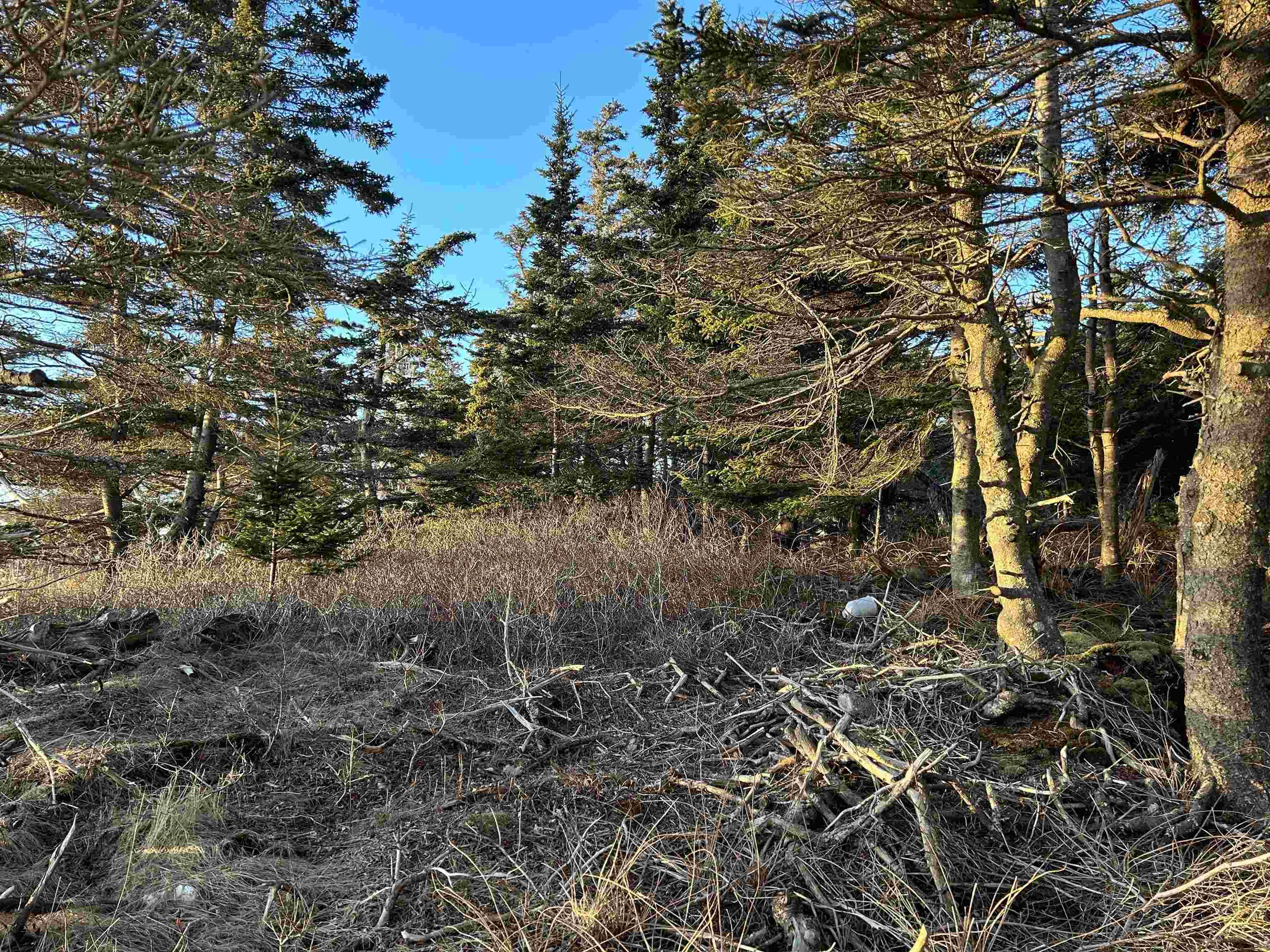 $145,000.00: Villagedale Road, Villagedale