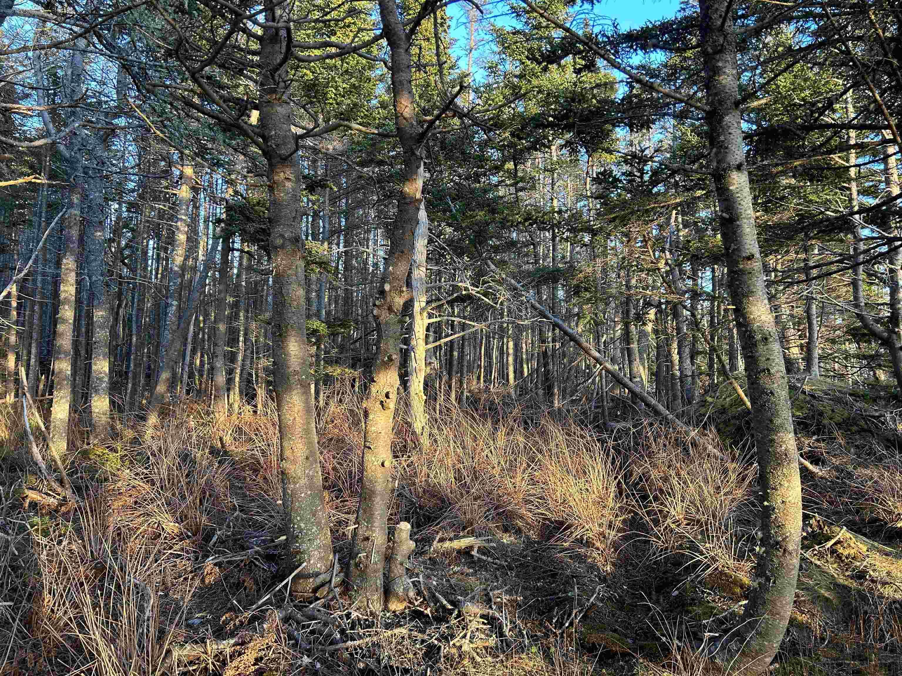 $145,000.00: Villagedale Road, Villagedale