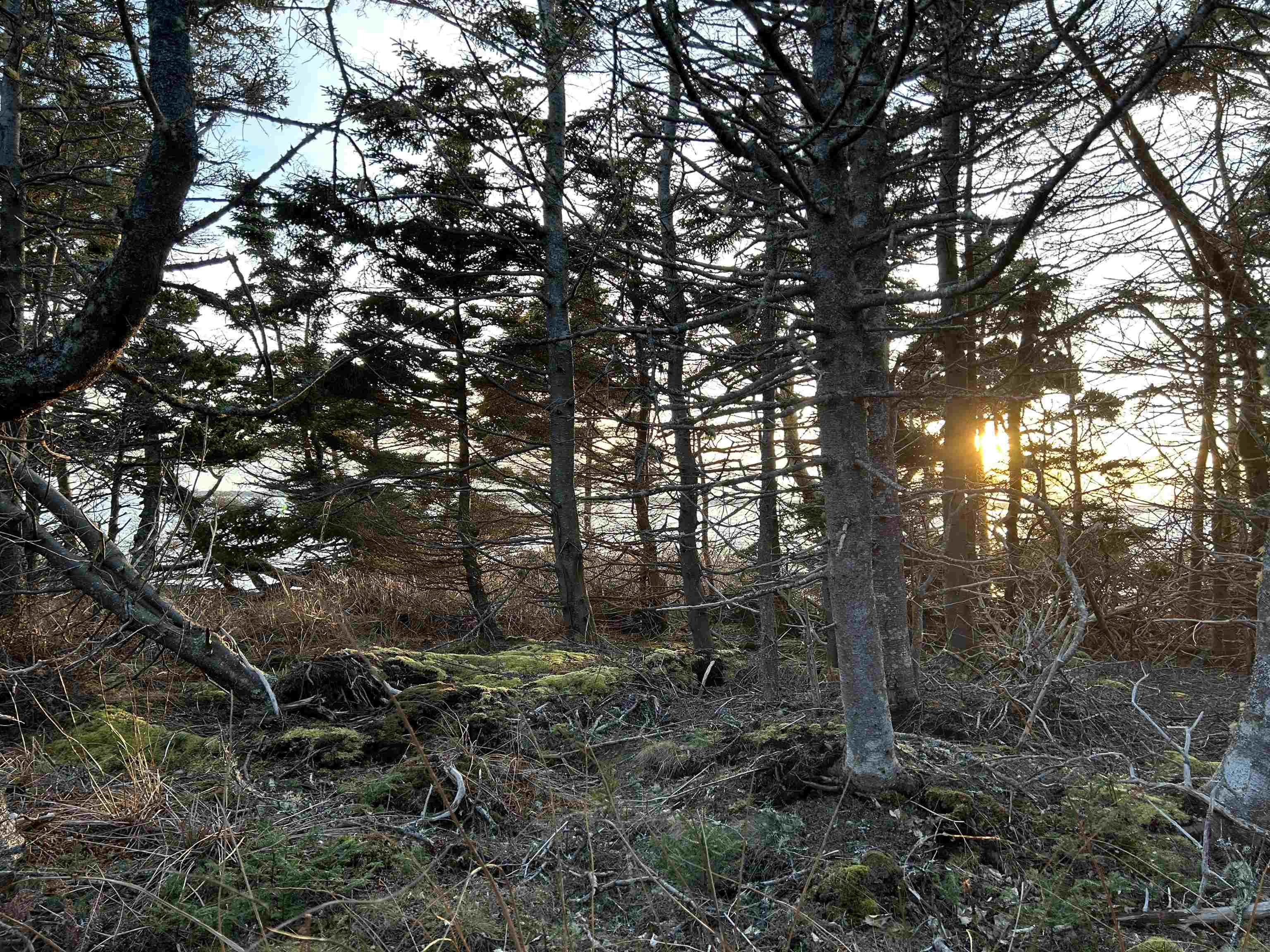 $145,000.00: Villagedale Road, Villagedale