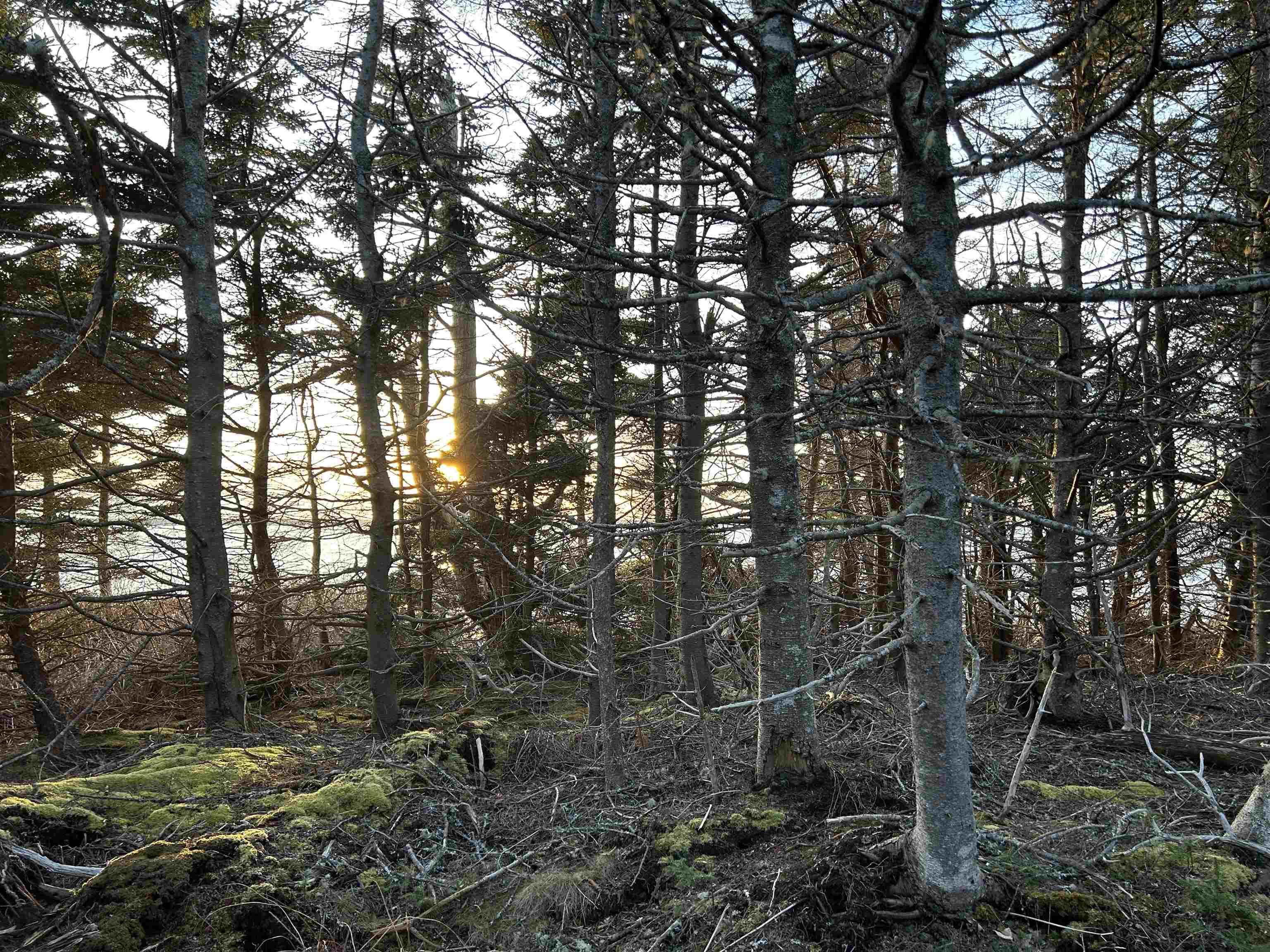 $145,000.00: Villagedale Road, Villagedale