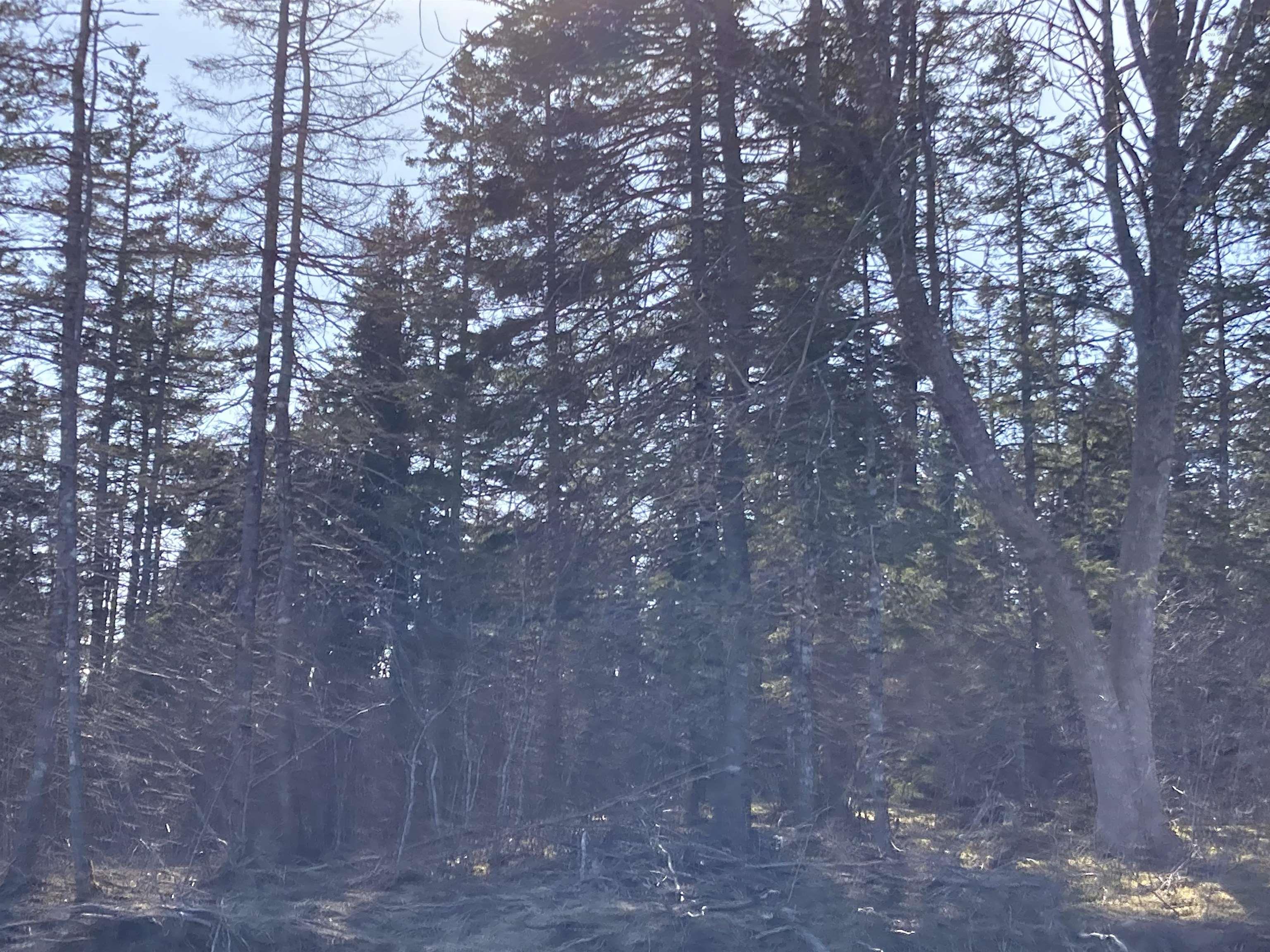 $89,000.00: Lot 21-5 Mary Cecelia Ridge, St Andrew