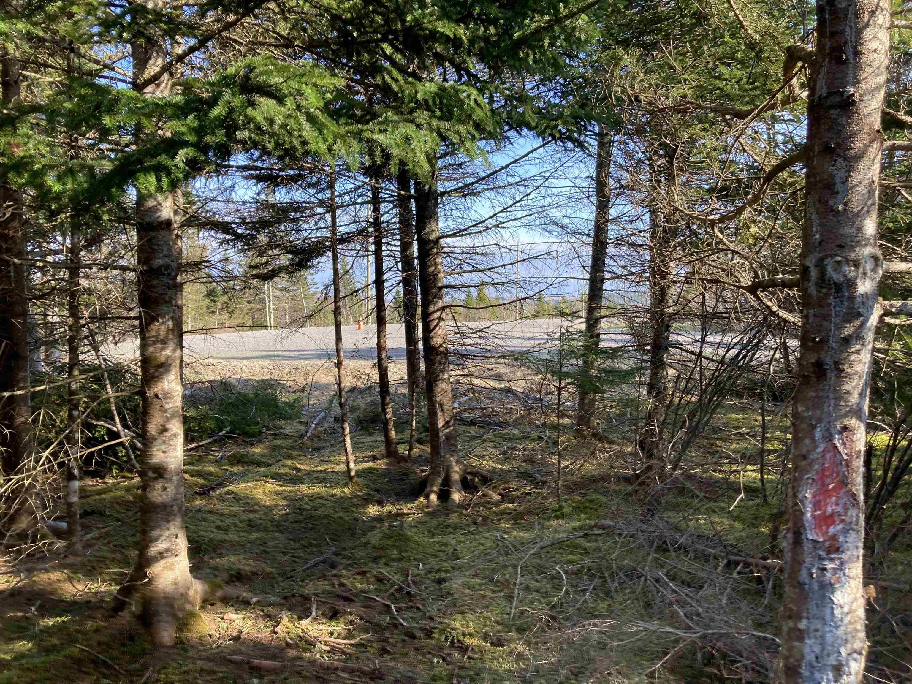 $89,000.00: Lot 21-5 Mary Cecelia Ridge, St Andrew