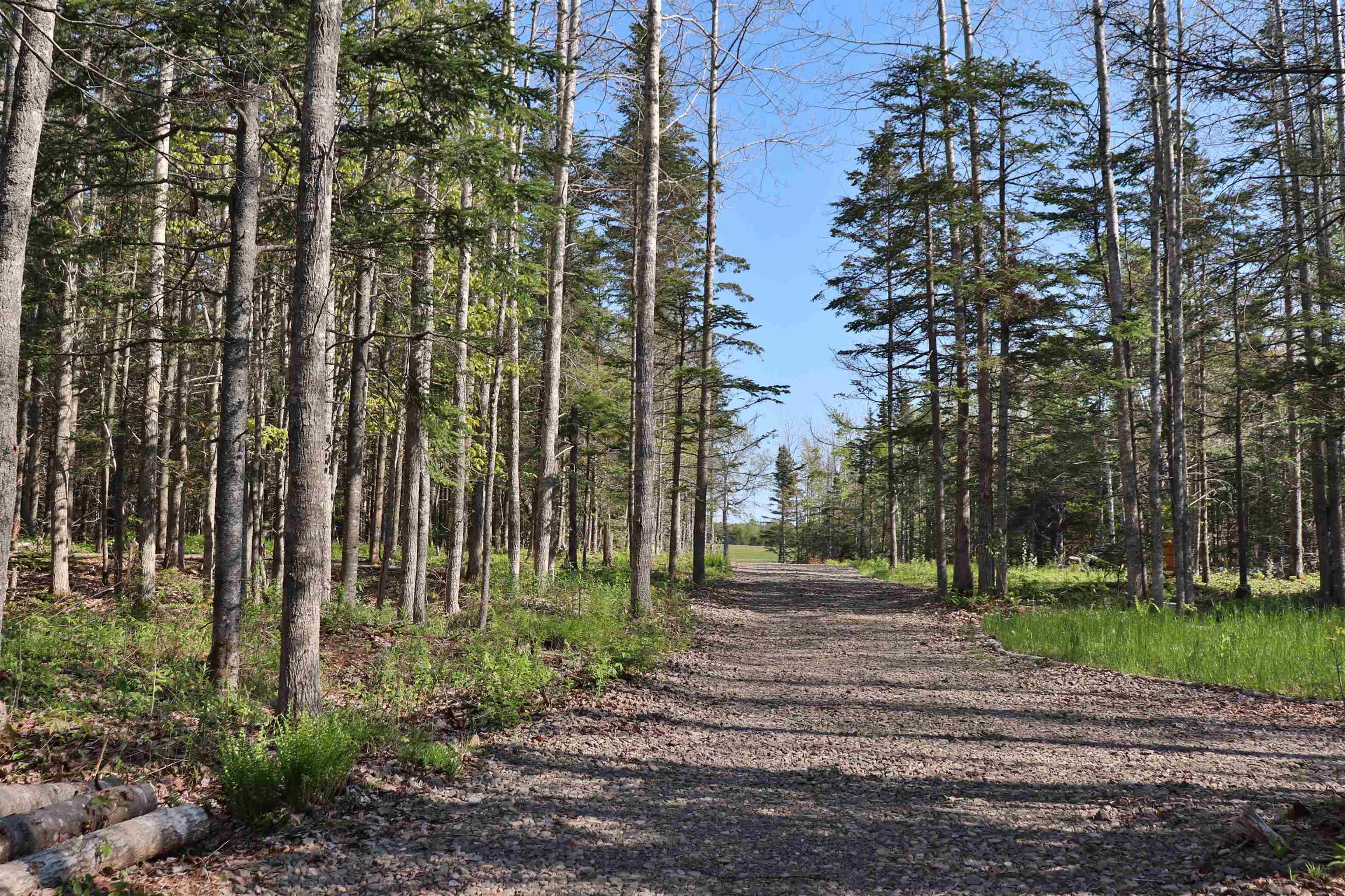$119,900.00: Lot Forest Glade Road, Forest Glade