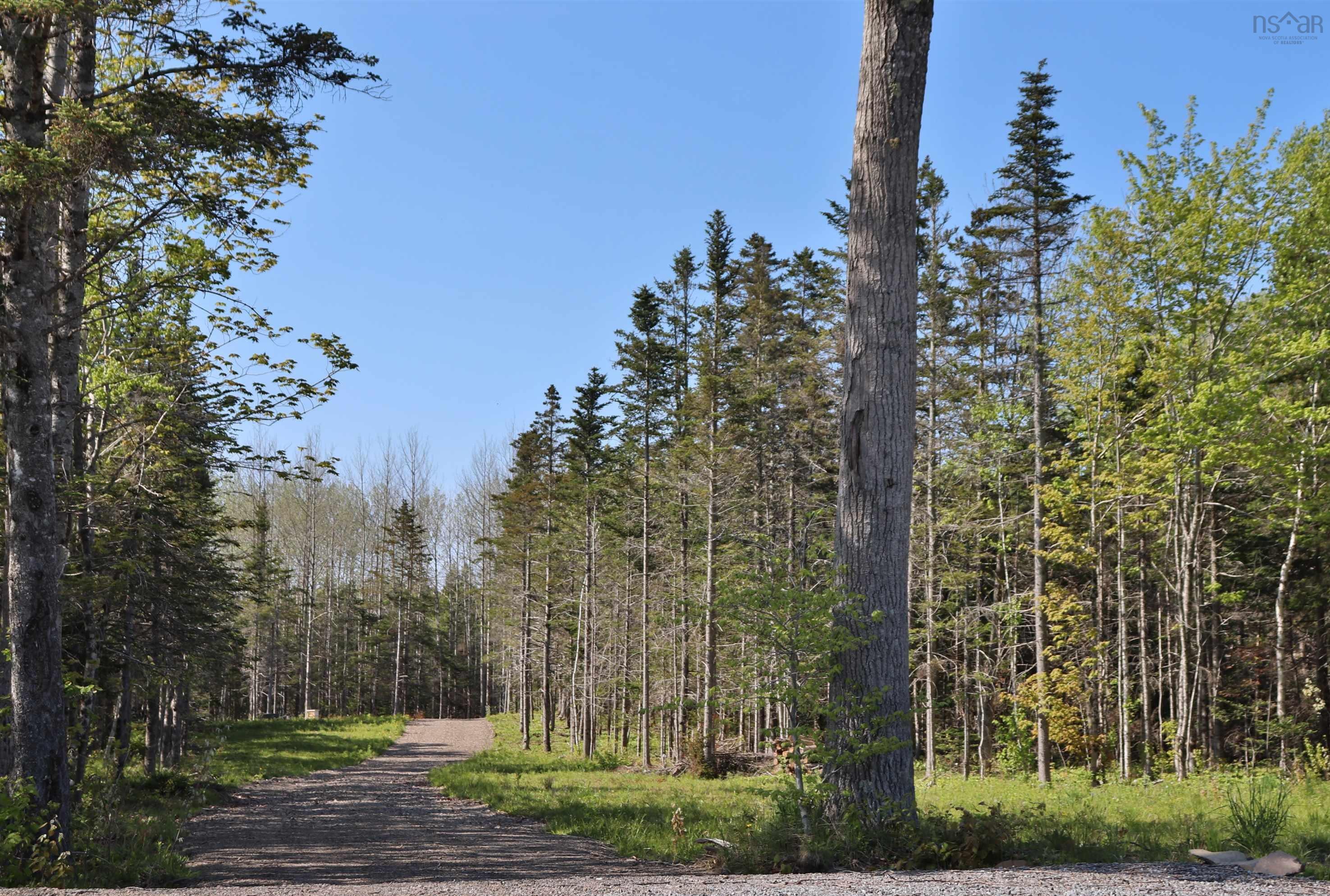 $119,900.00: Lot Forest Glade Road, Forest Glade