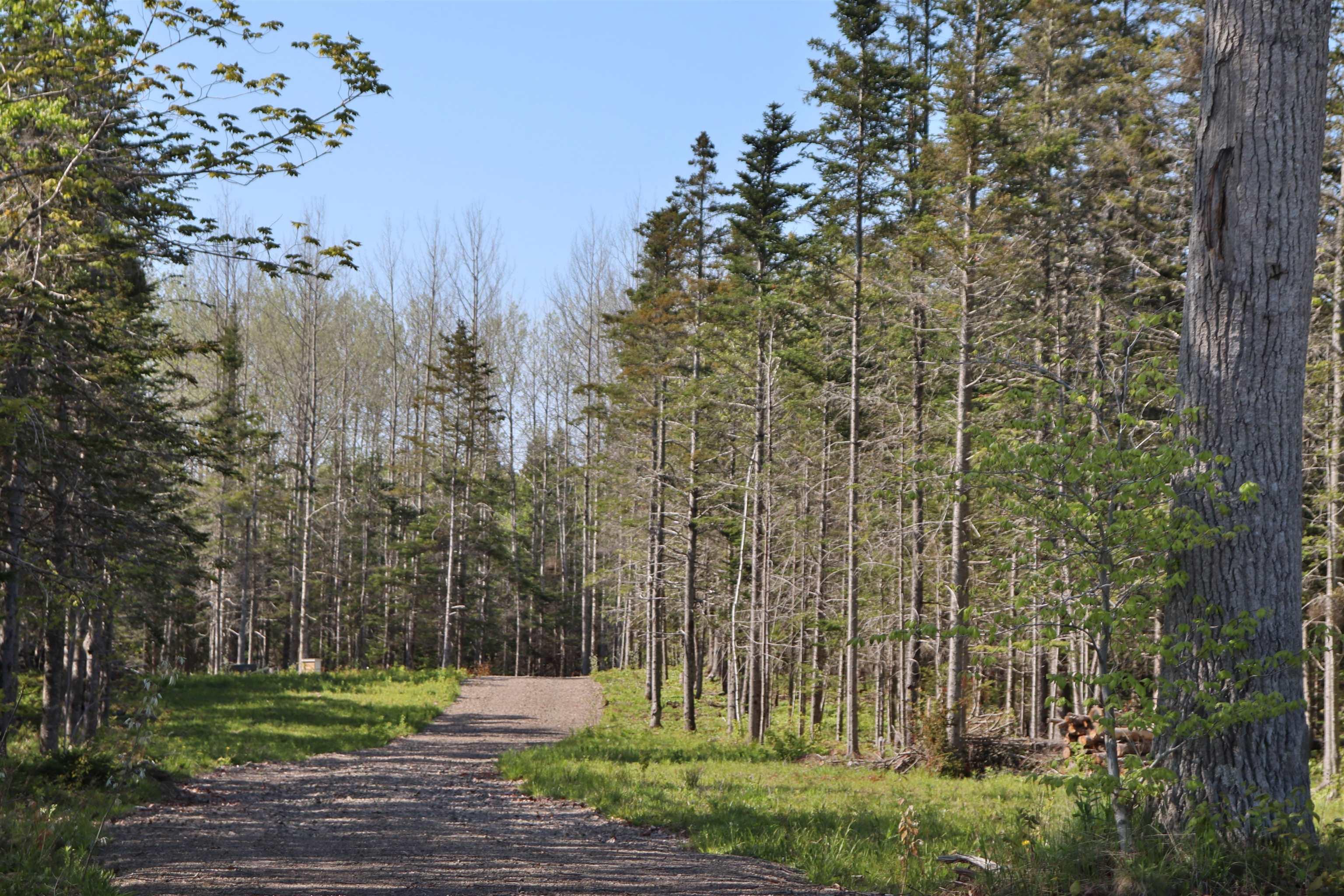 $119,900.00: Lot Forest Glade Road, Forest Glade