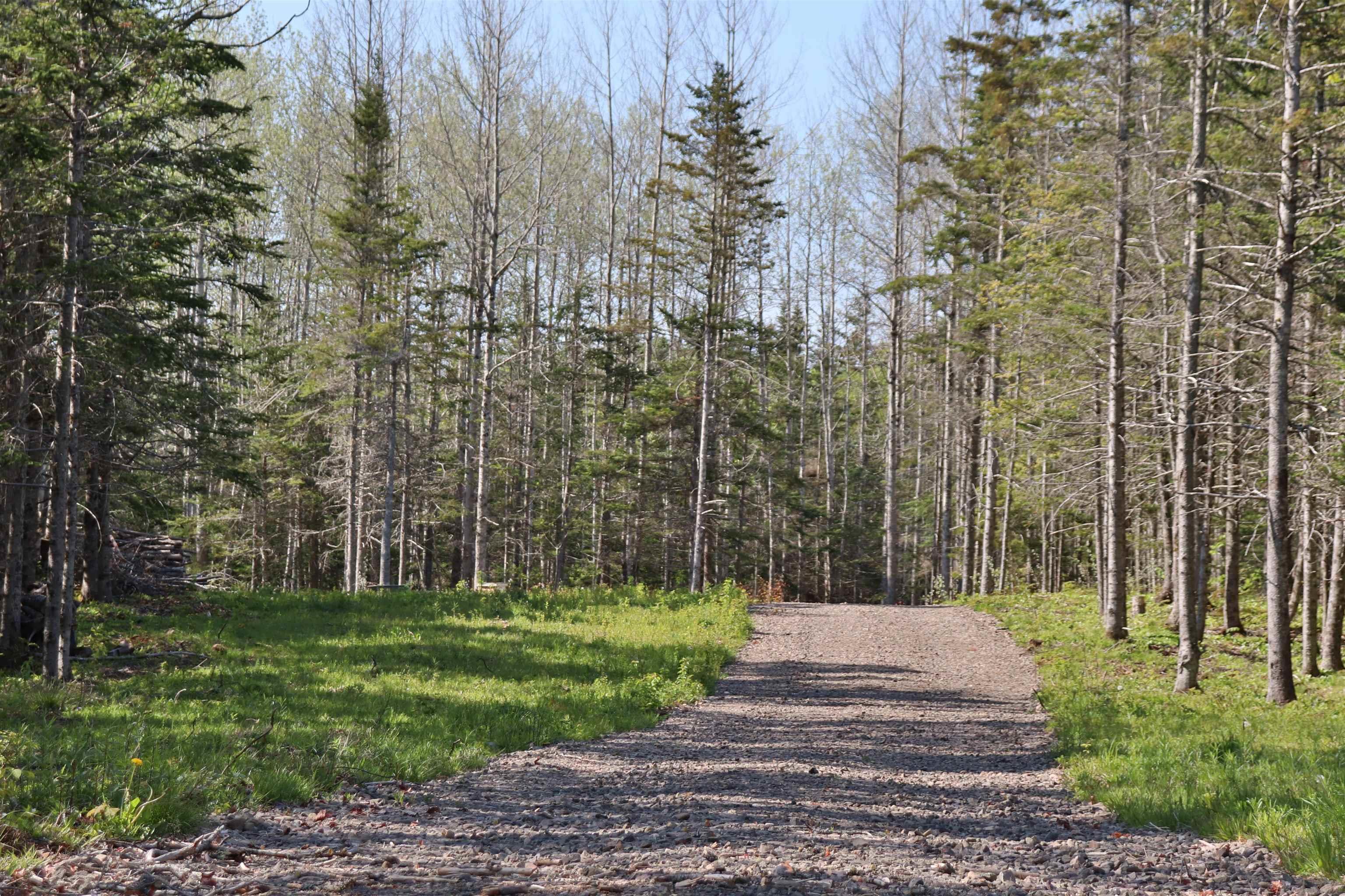 $119,900.00: Lot Forest Glade Road, Forest Glade