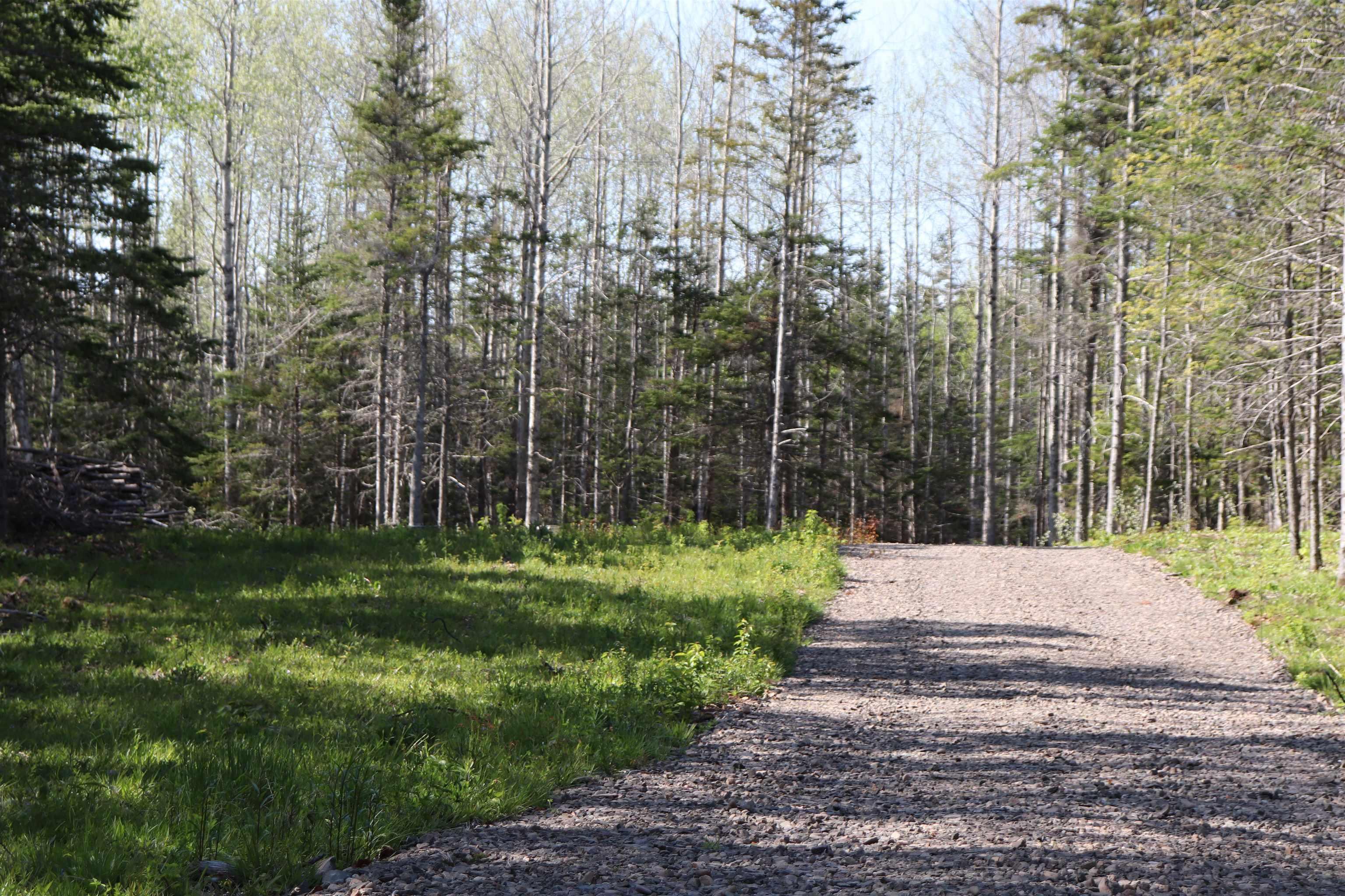$119,900.00: Lot Forest Glade Road, Forest Glade