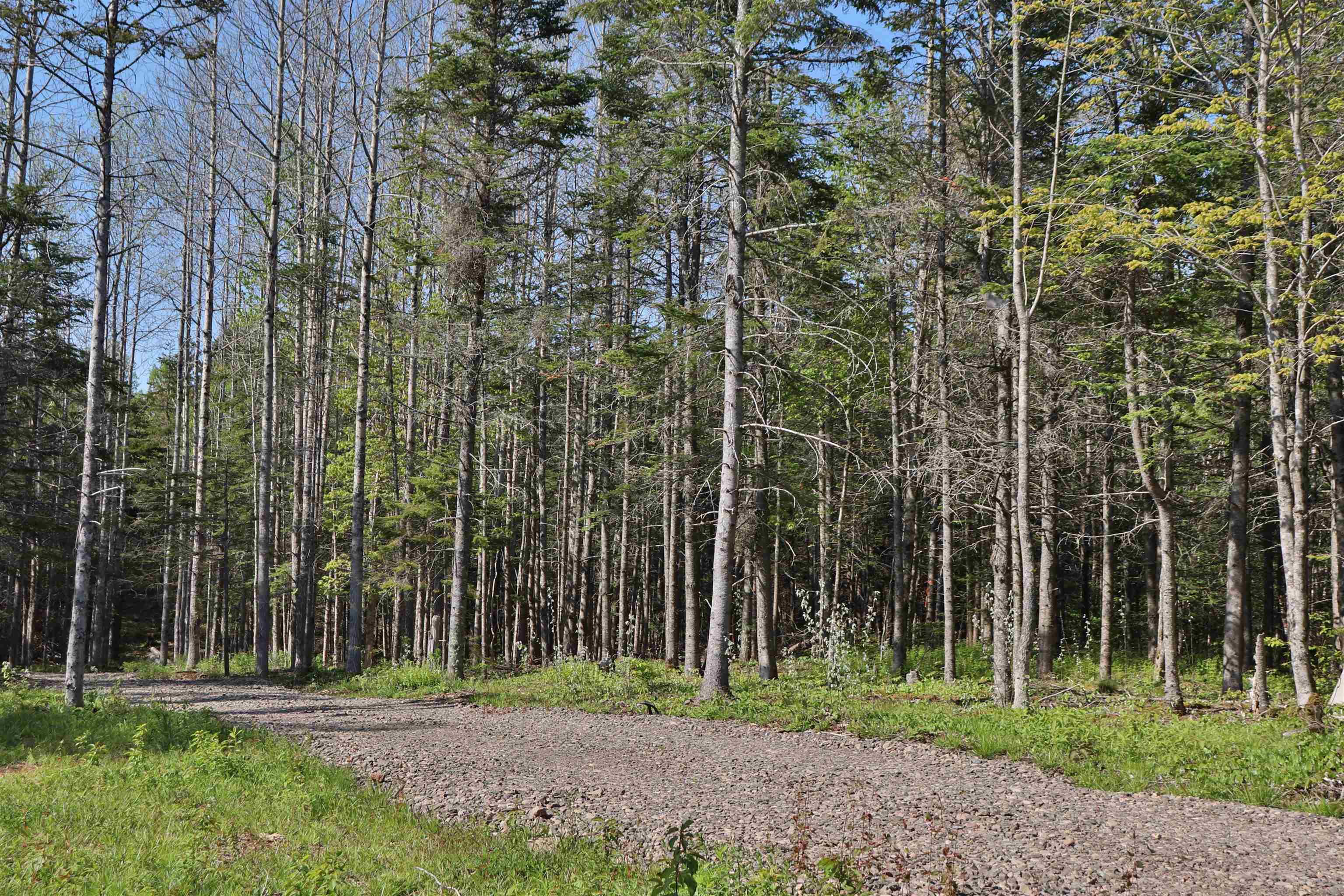 $119,900.00: Lot Forest Glade Road, Forest Glade
