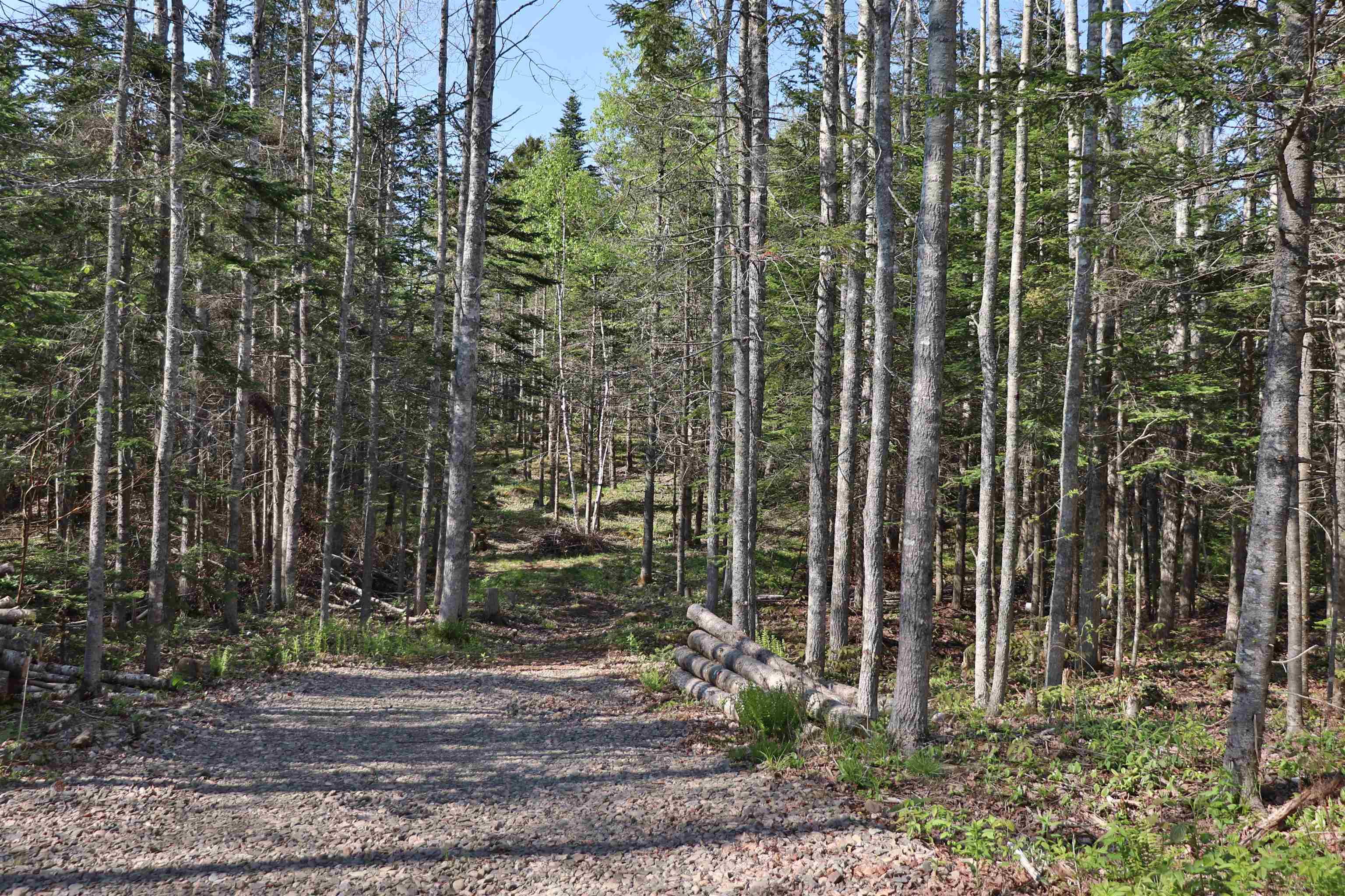 $119,900.00: Lot Forest Glade Road, Forest Glade