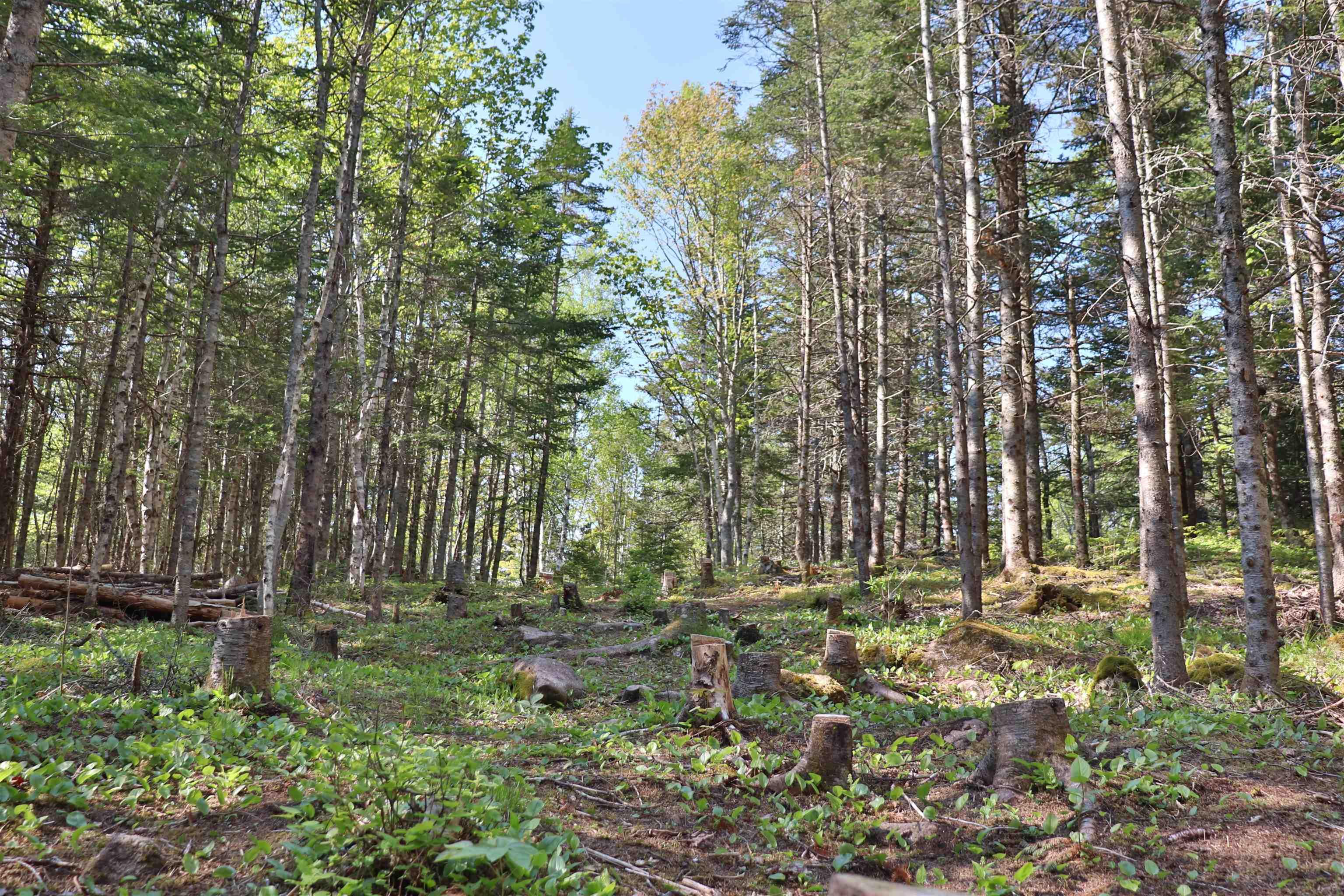 $119,900.00: Lot Forest Glade Road, Forest Glade
