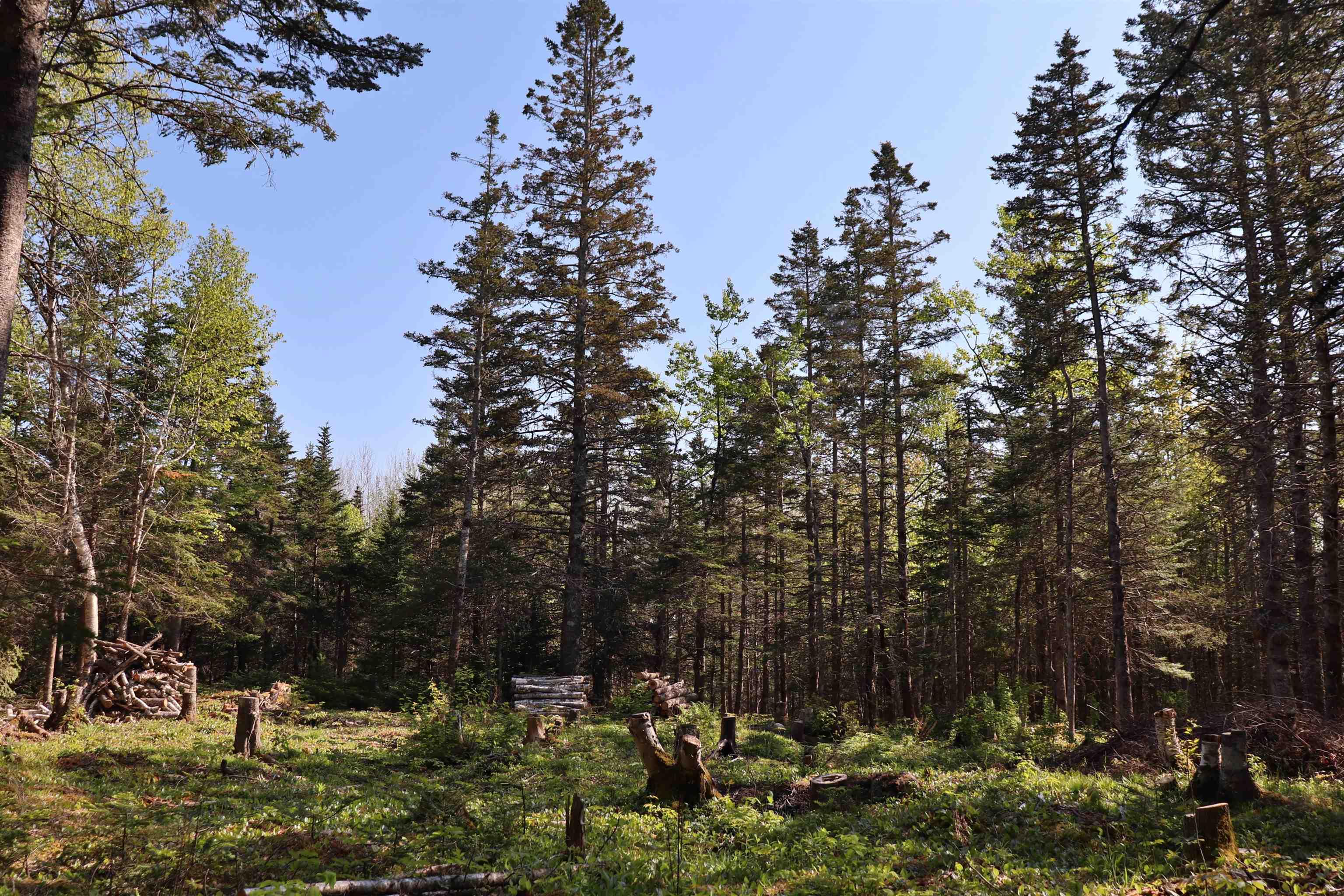 $119,900.00: Lot Forest Glade Road, Forest Glade
