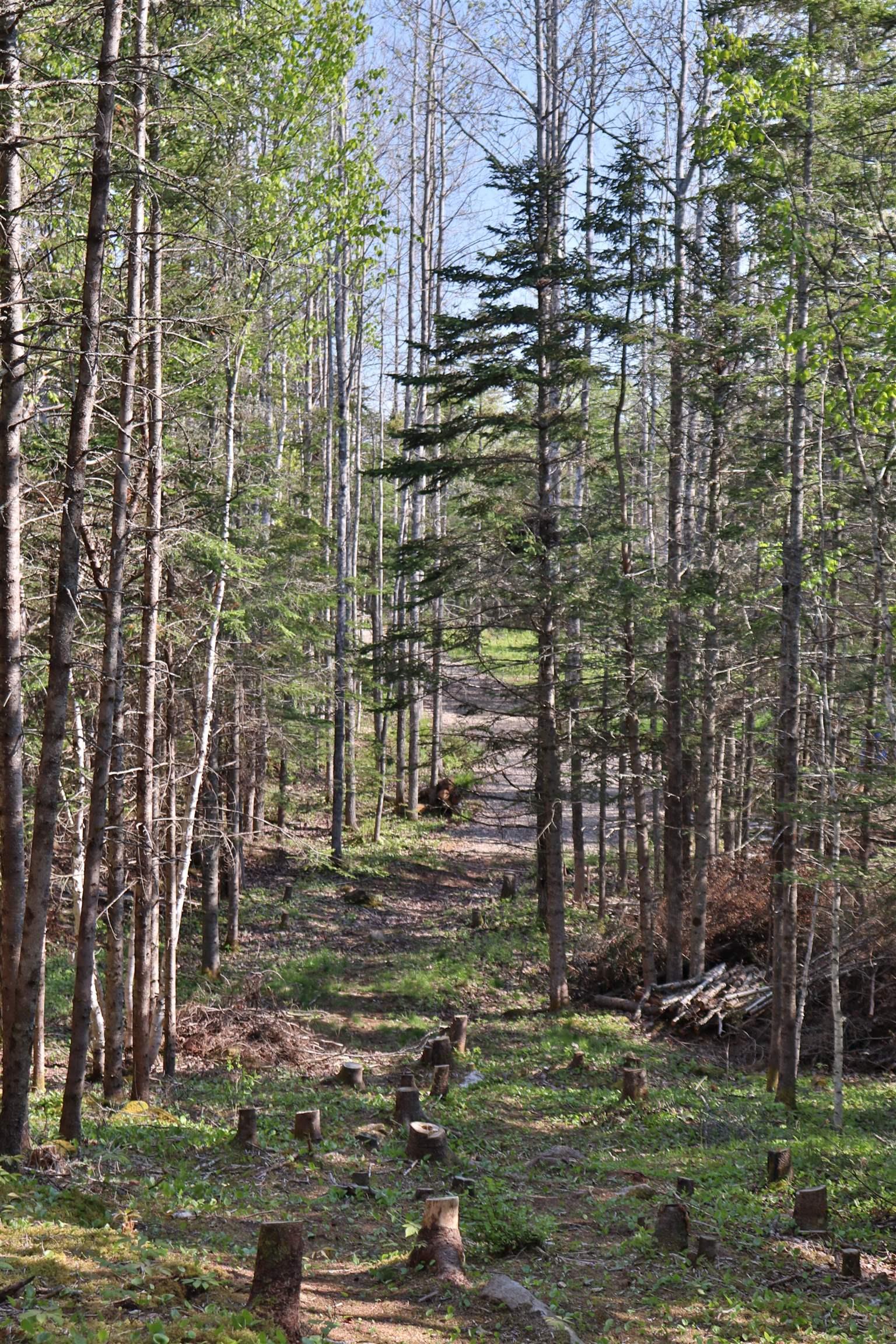 $119,900.00: Lot Forest Glade Road, Forest Glade