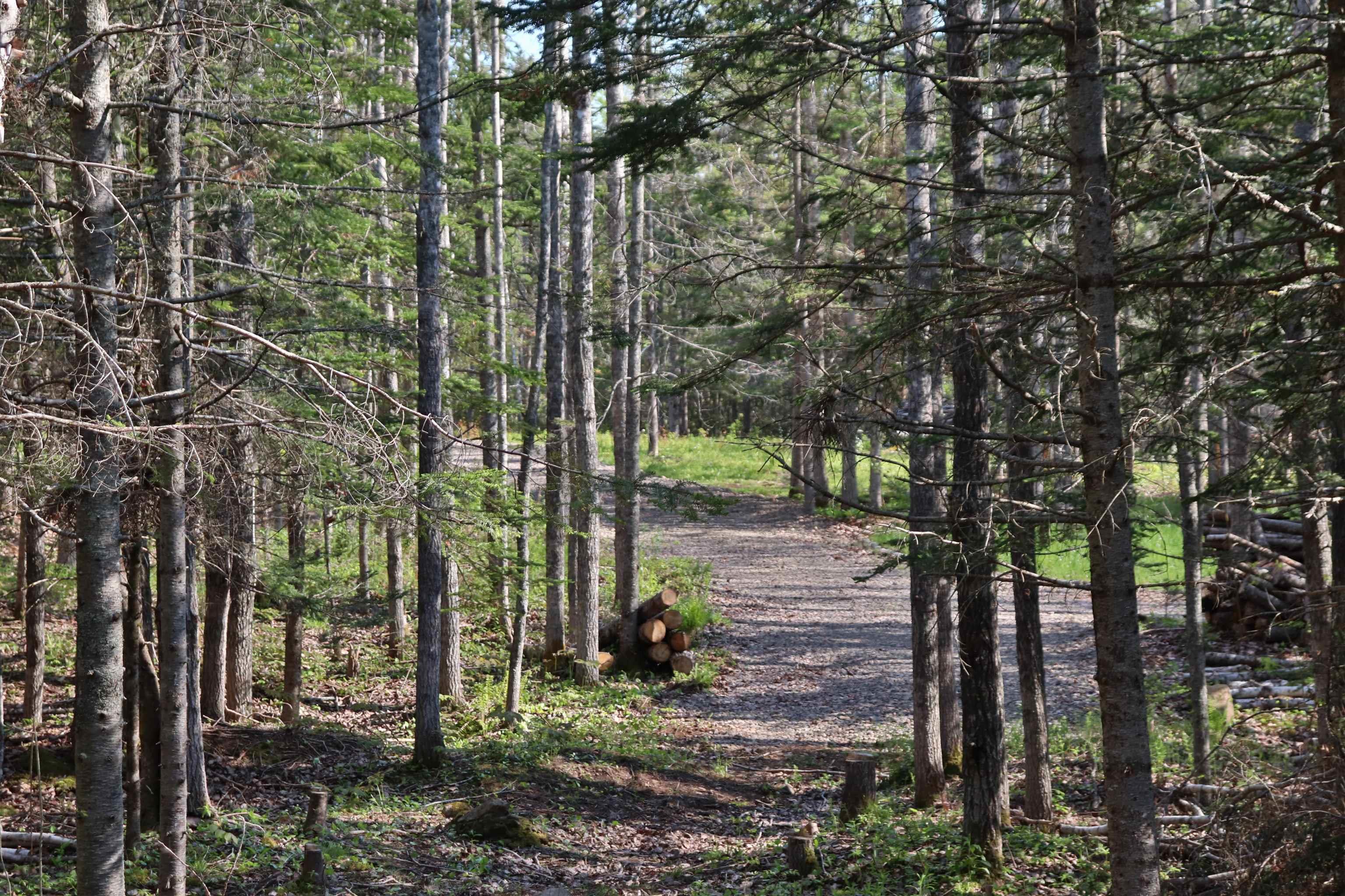 $119,900.00: Lot Forest Glade Road, Forest Glade