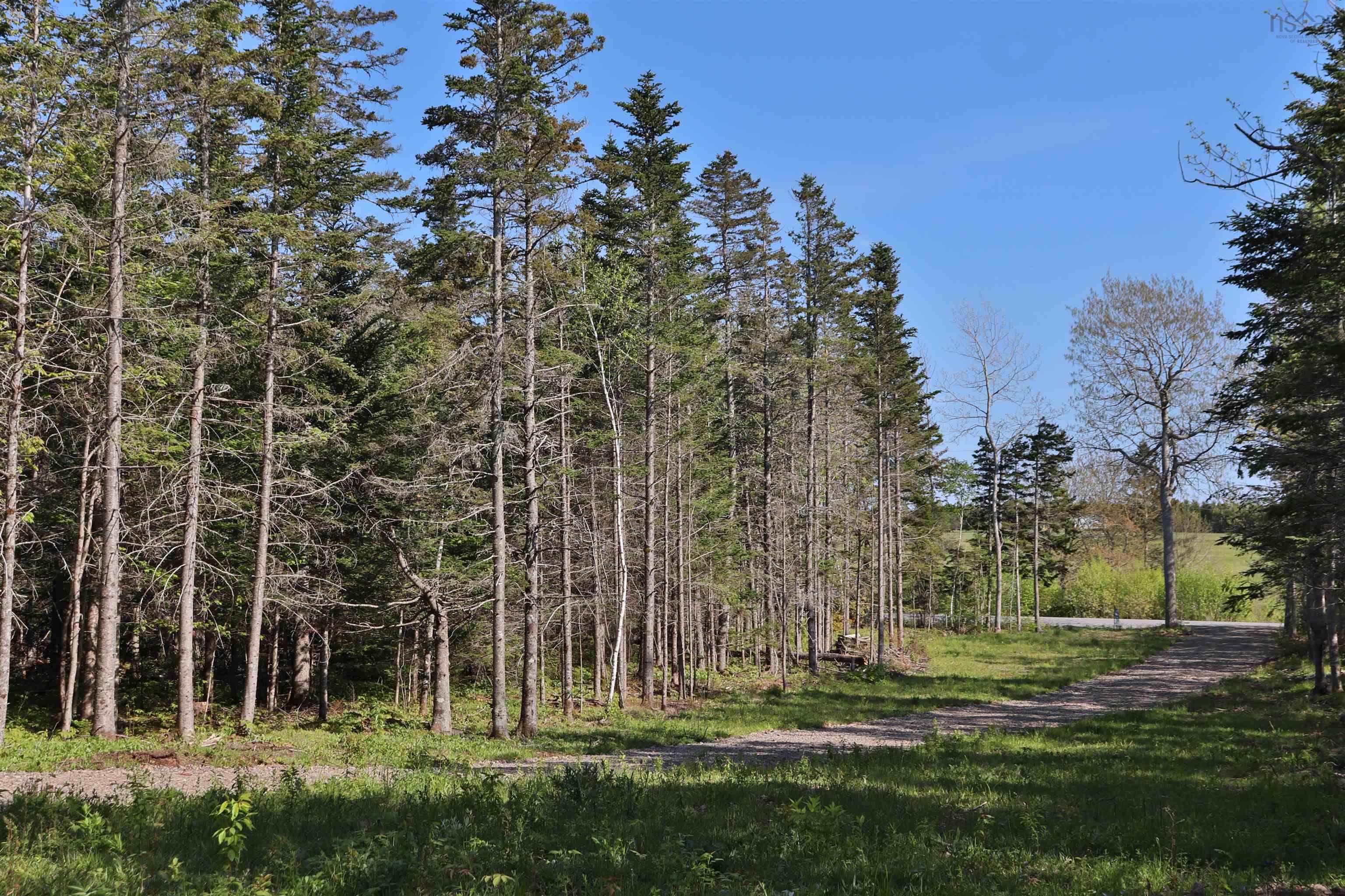 $119,900.00: Lot Forest Glade Road, Forest Glade