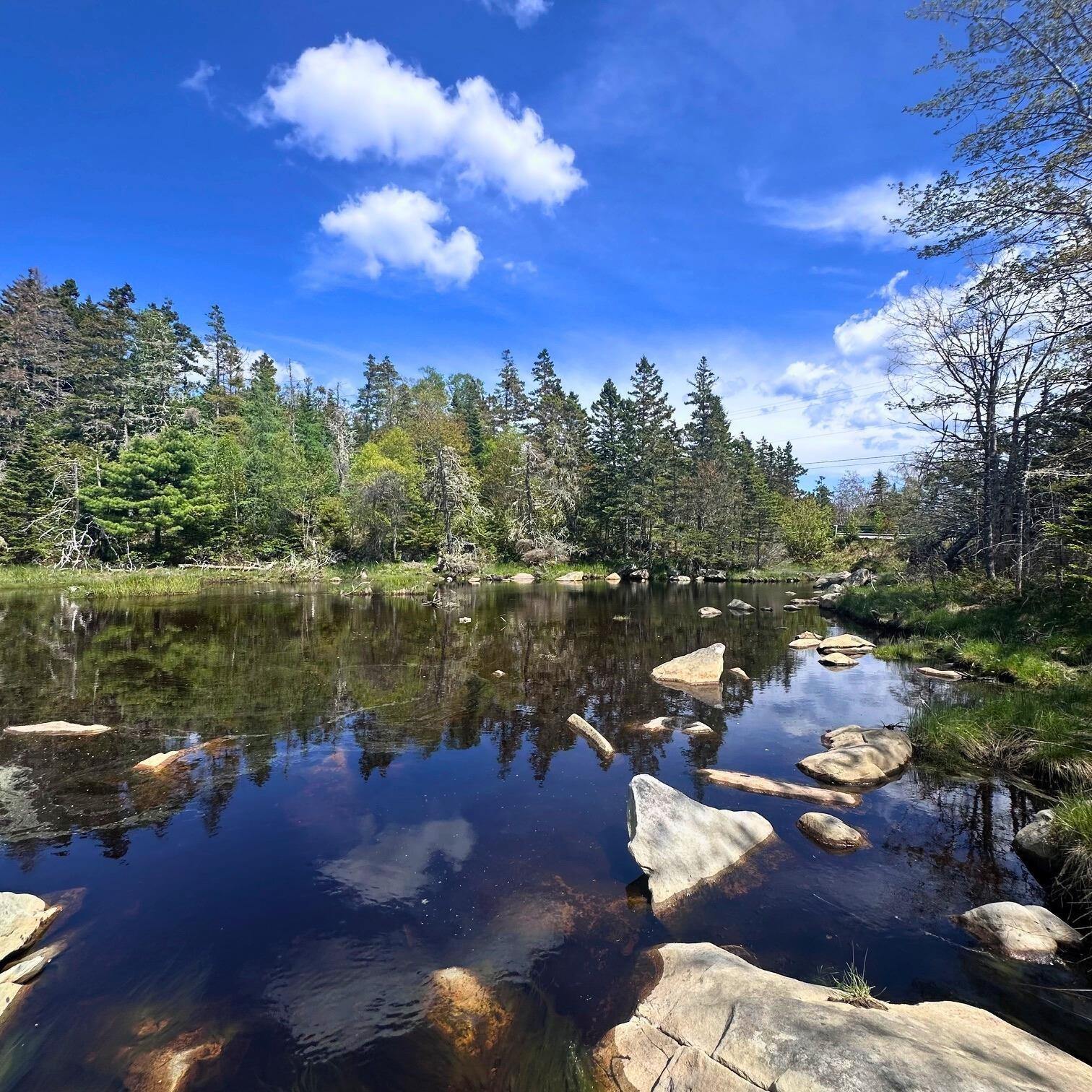 $184,900.00: 8630 Highway 331, Voglers Cove